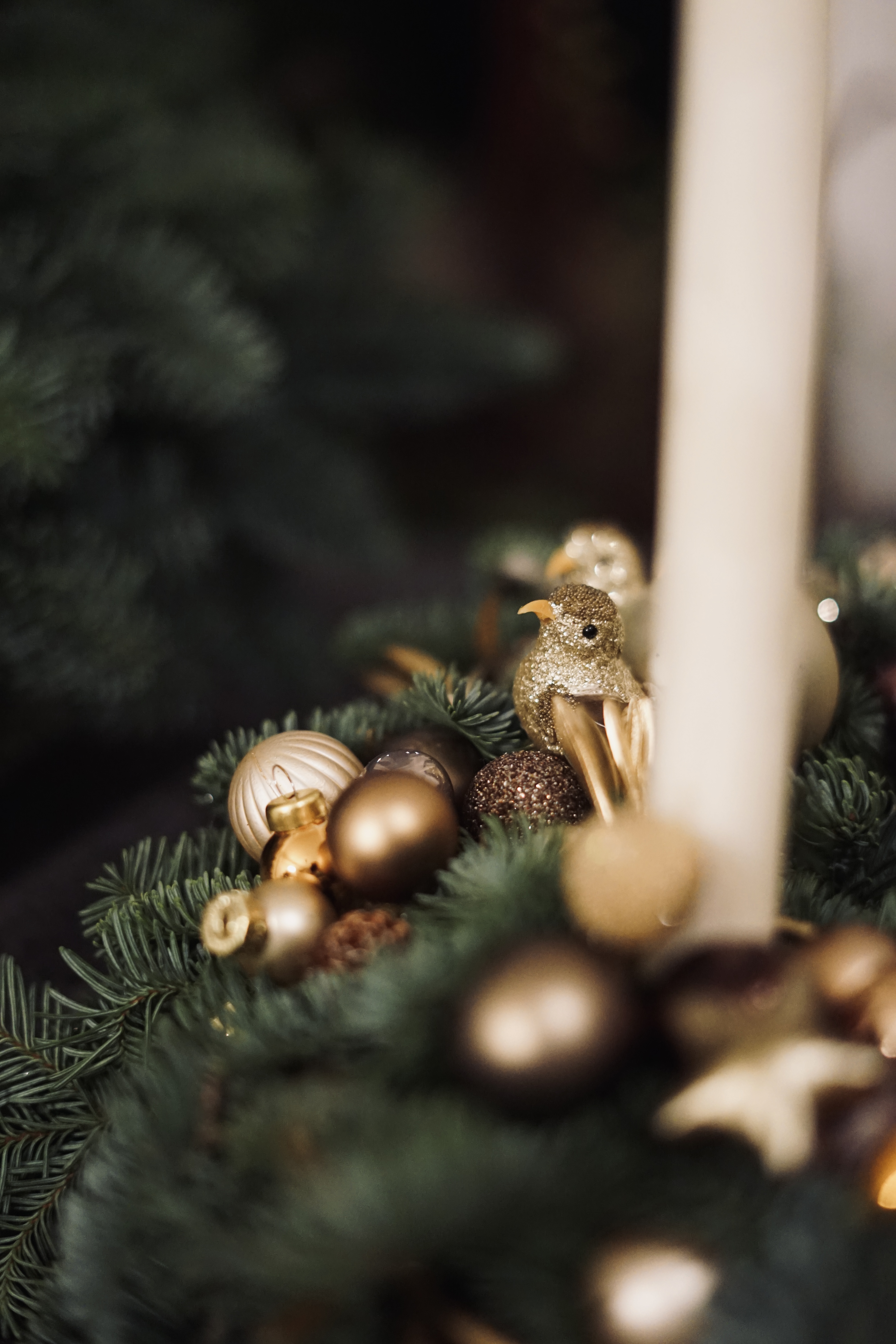 Vainikas " Du paukščiukai"