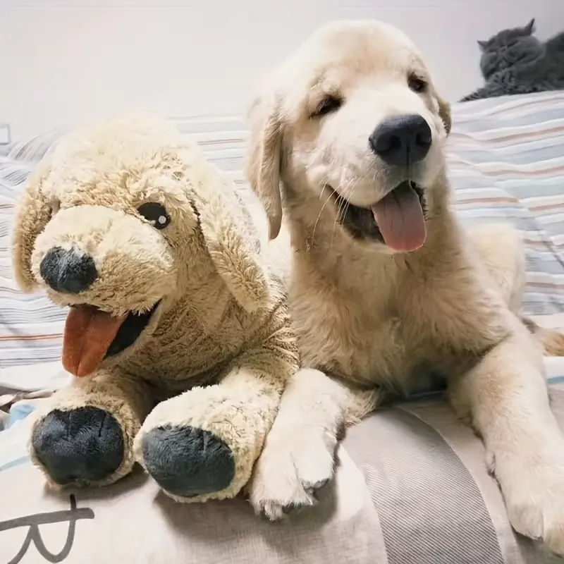 ตุ๊กตาหมาพลัชขนาดยักษ์ 40ซม./70ซม. สีทอง และลาบราดอร์ รีทรีฟเวอร์ 1 ชิ้น