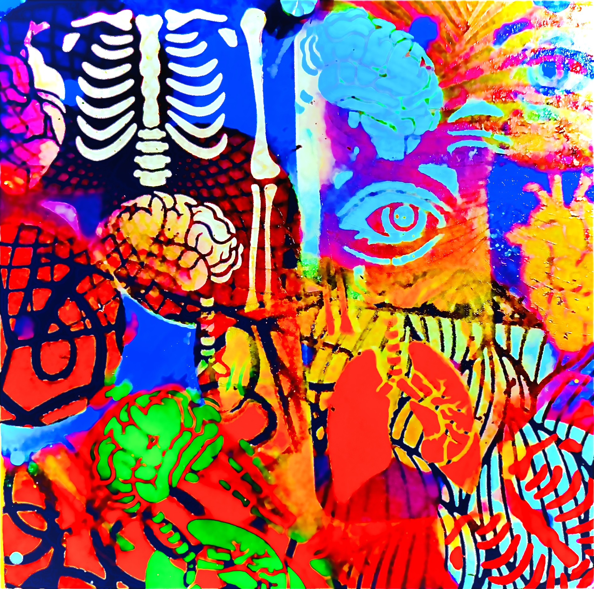 Colorful Anatomy Art Poster