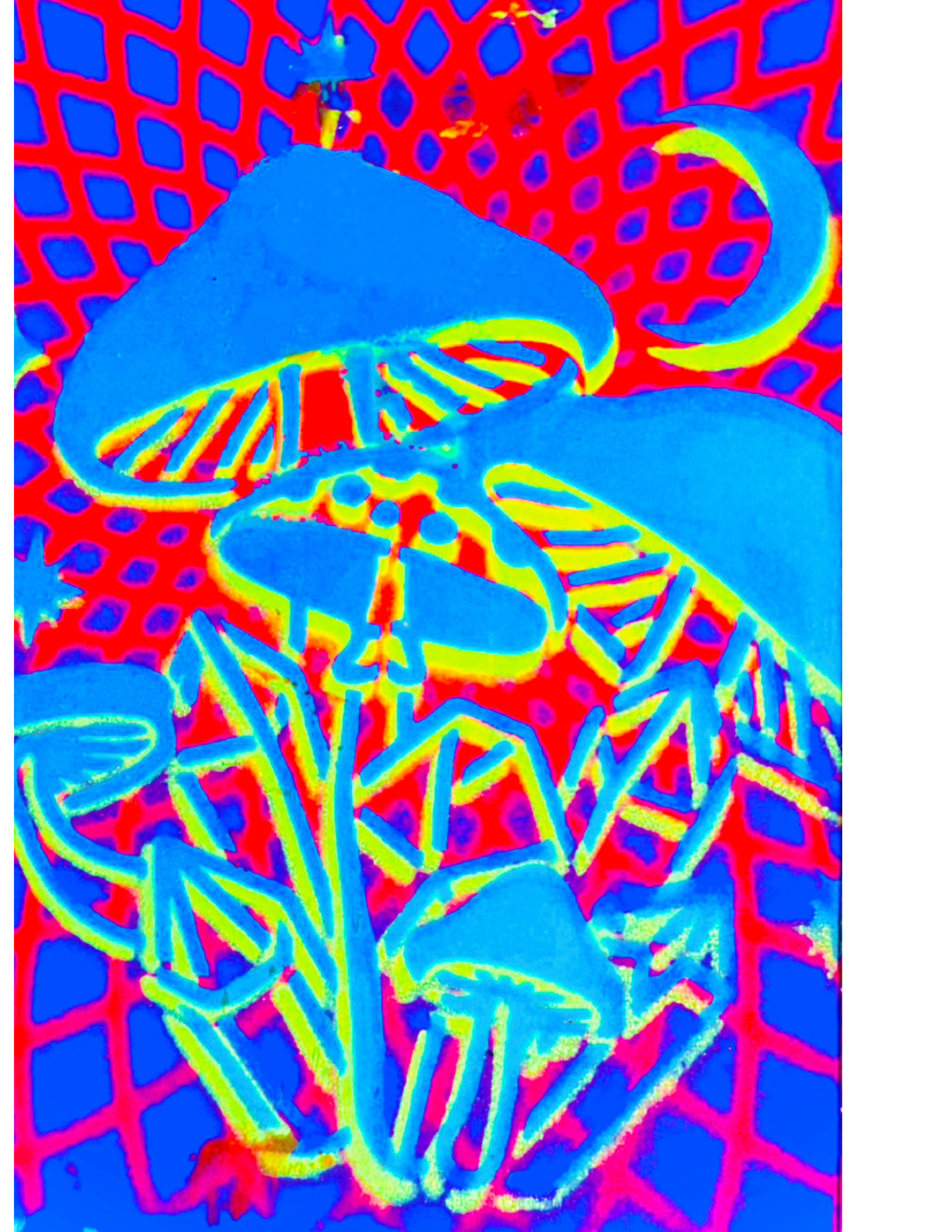 Psychedelic Mushroom Art Print