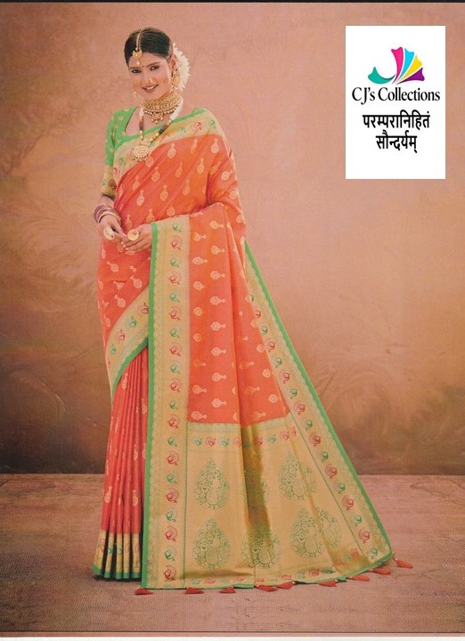 Elegant Traditional Saree