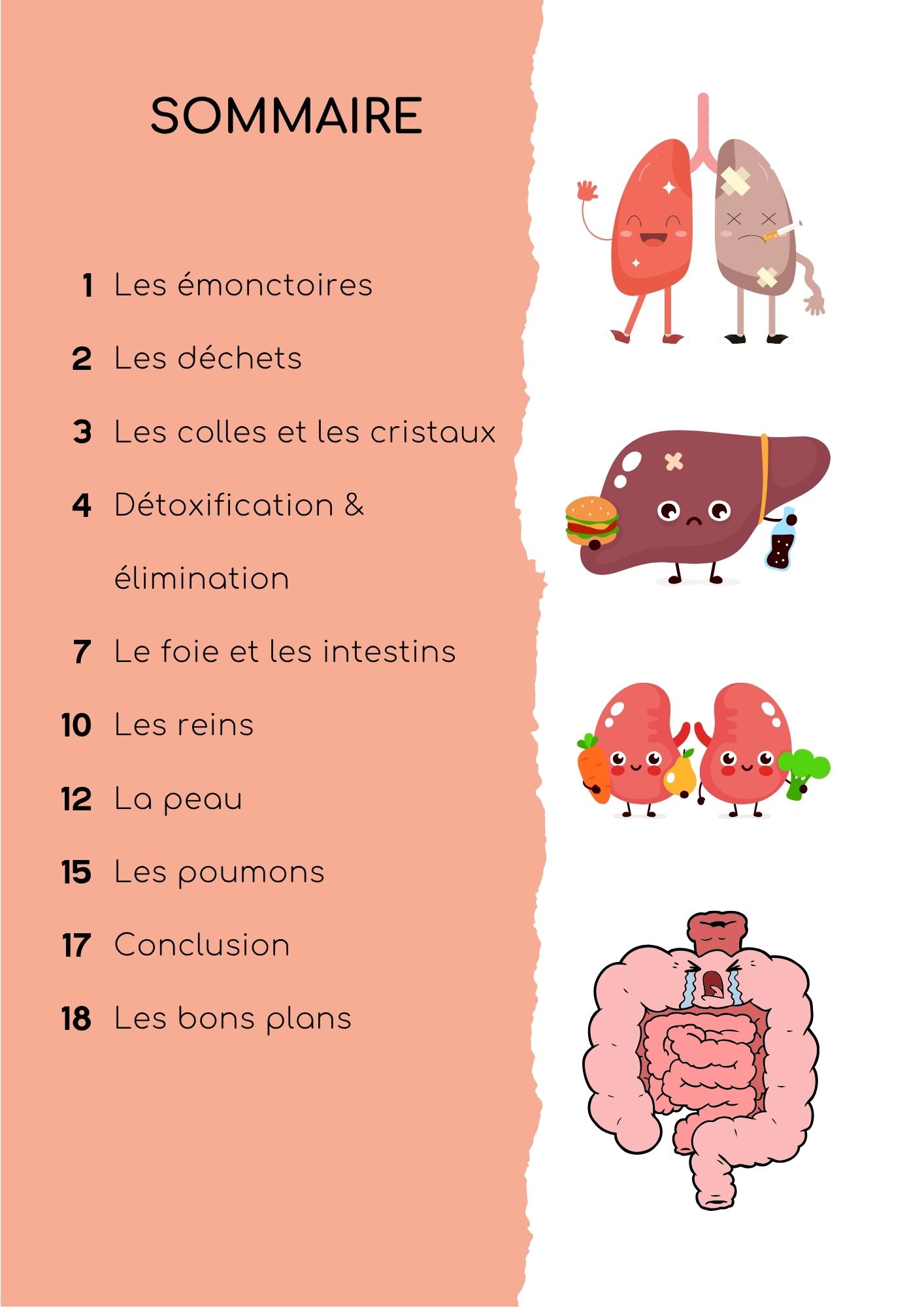 eBook Principes d'hygiène émonctorielle