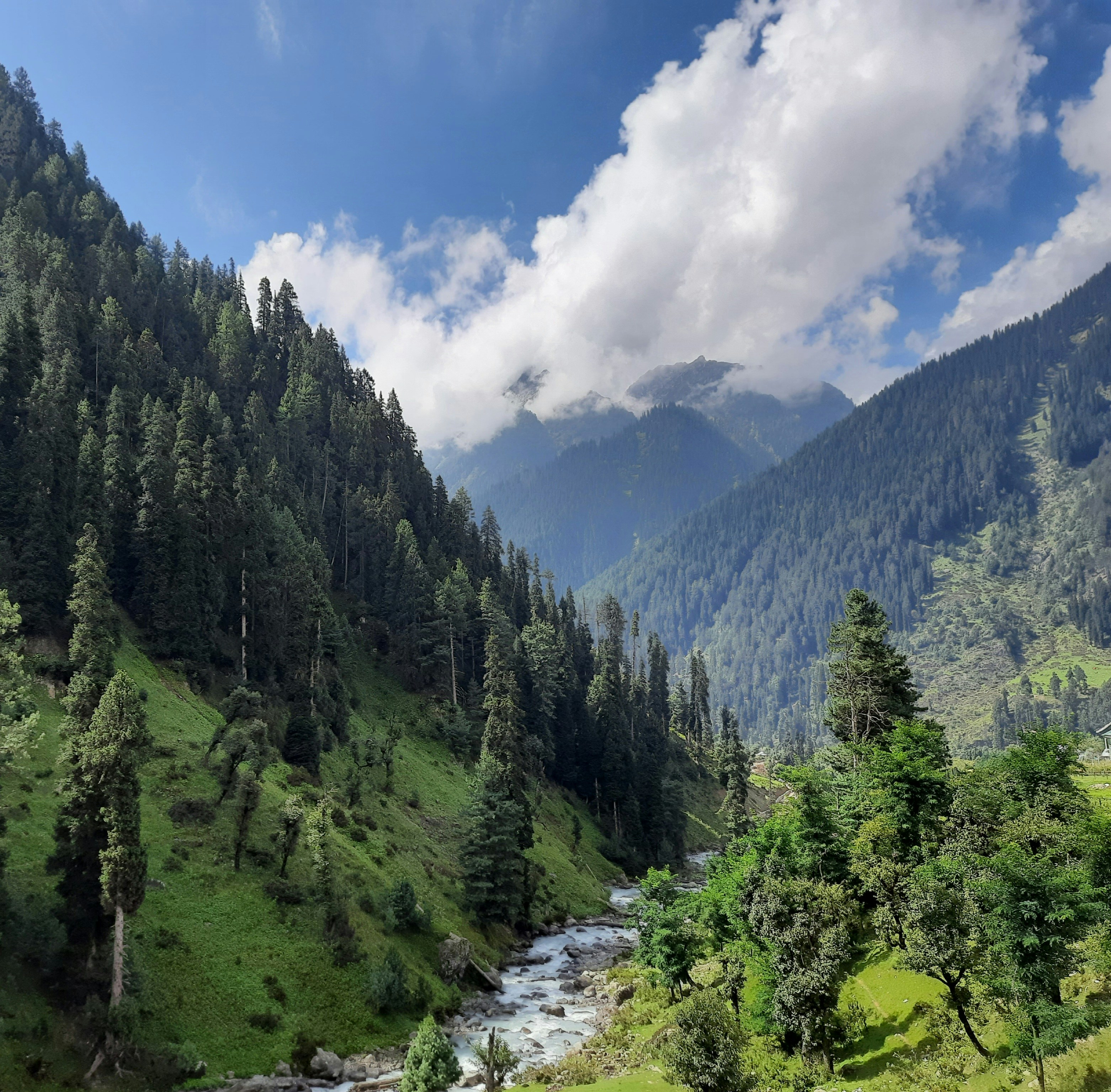 Kashmir