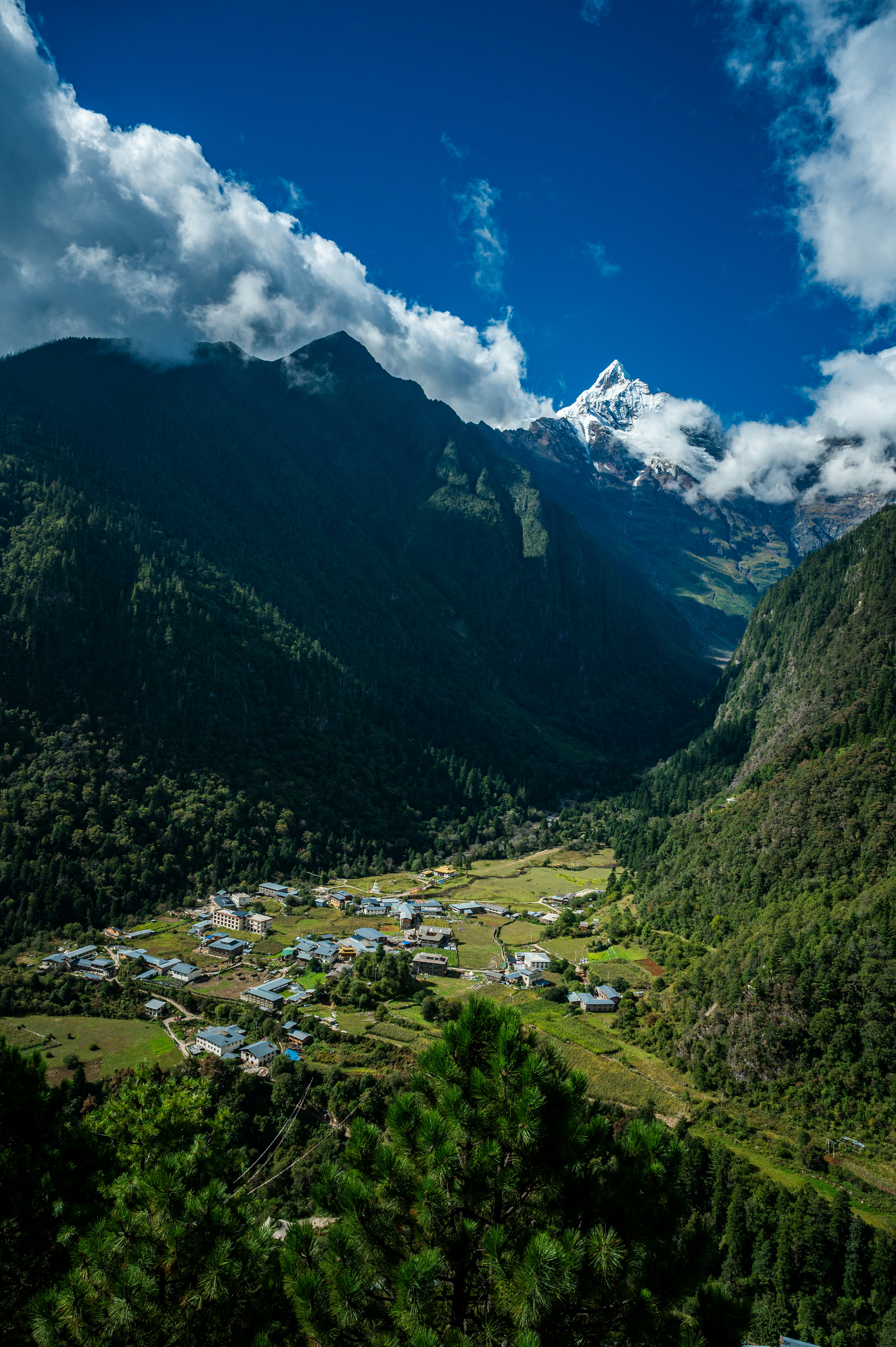 Arunachal Pradesh