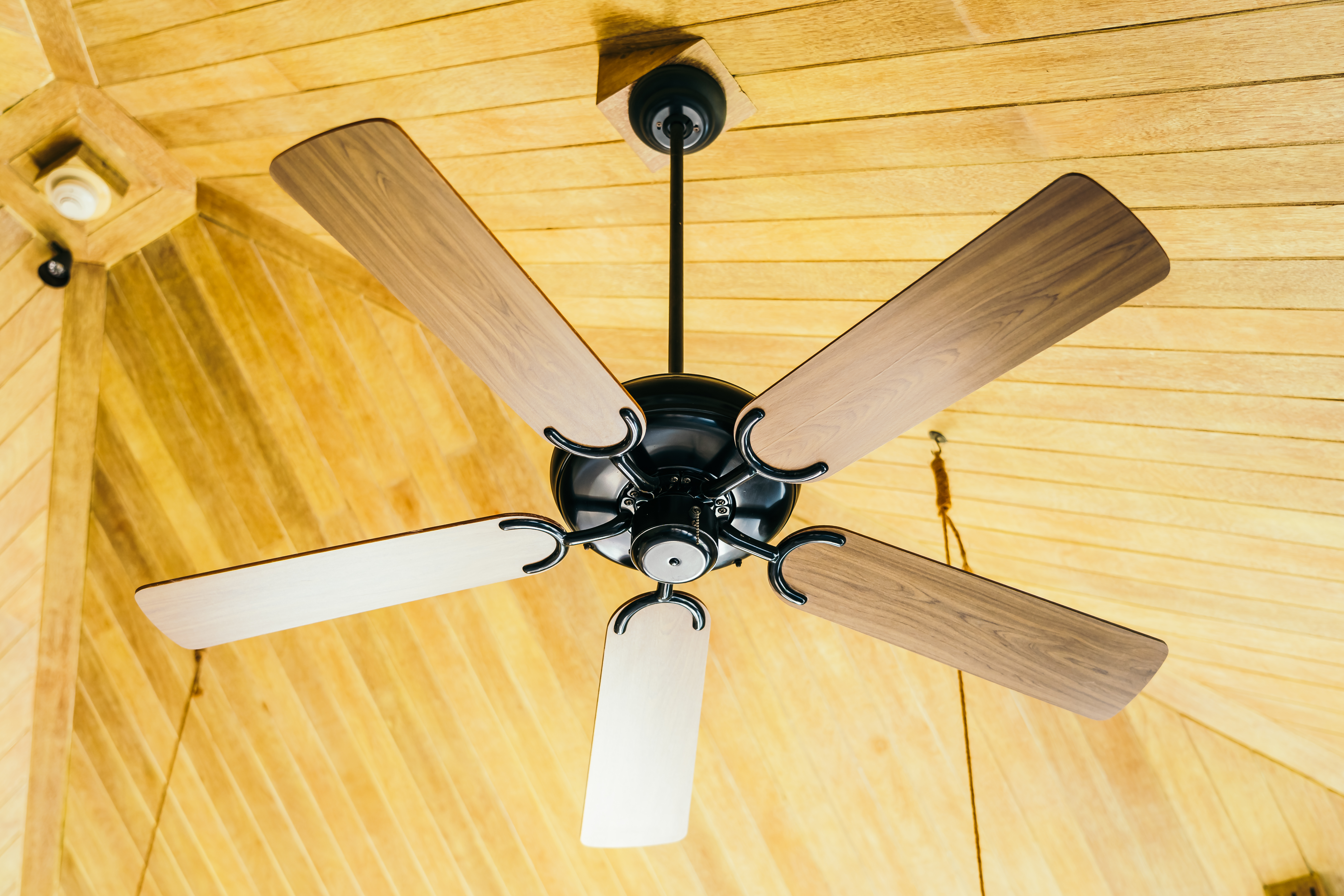 Ceiling Fan