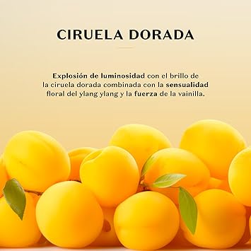 NativaSPA Ciruela Dorada Crema Corporal Hidratante NativaSPA 400ml - O Boticário