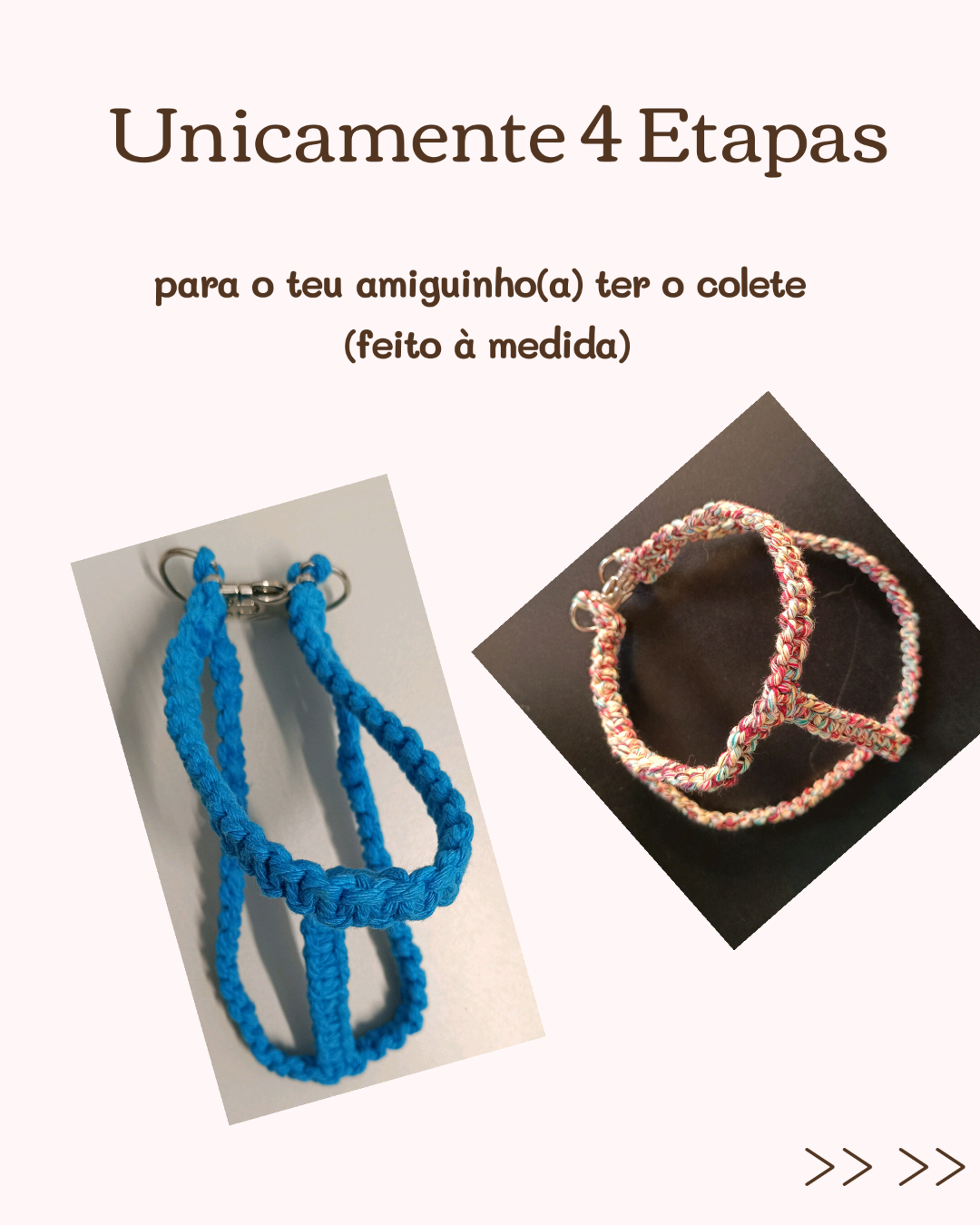 Colete para o seu amiguinho/a