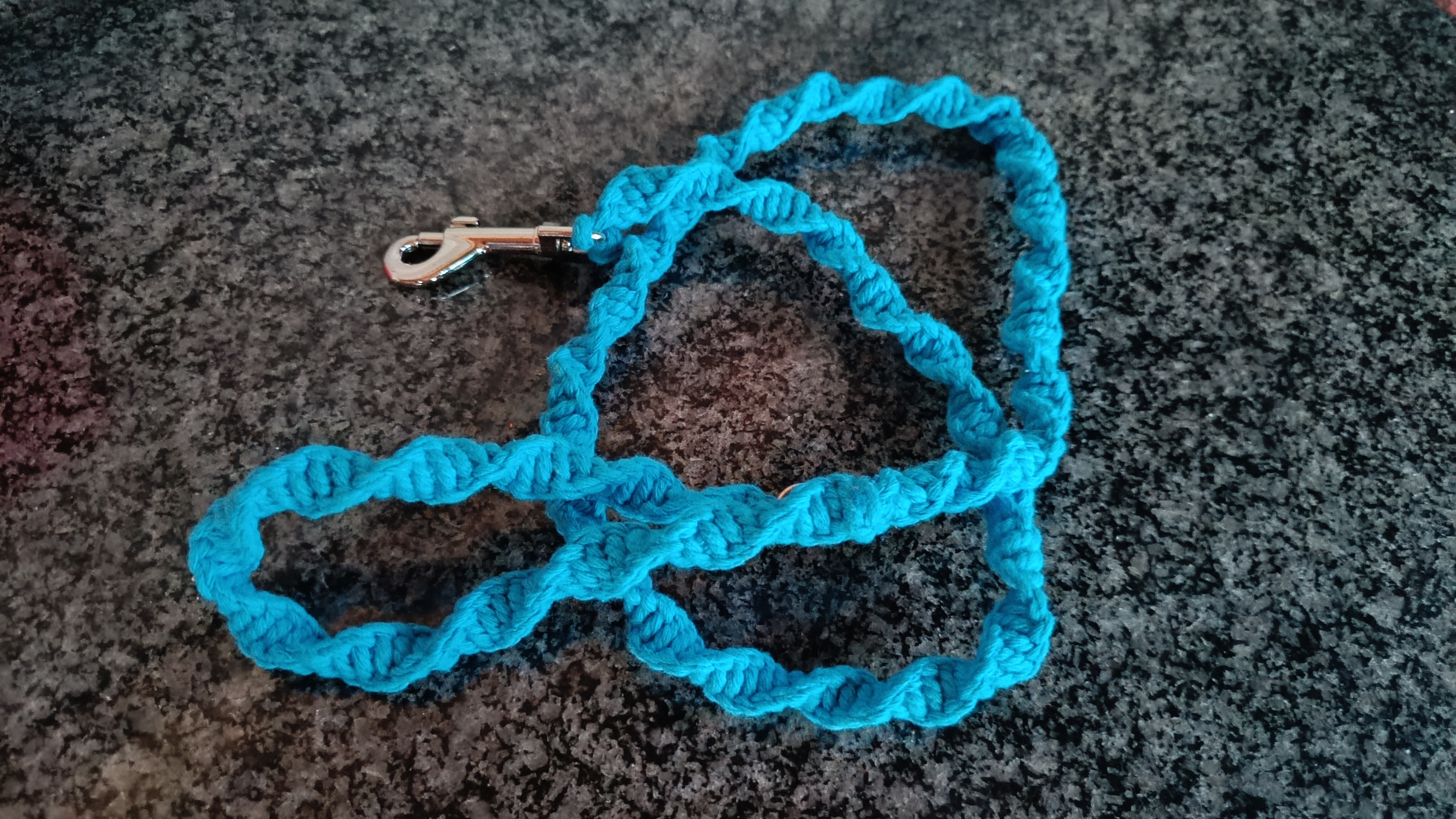 Trela para o seu animal