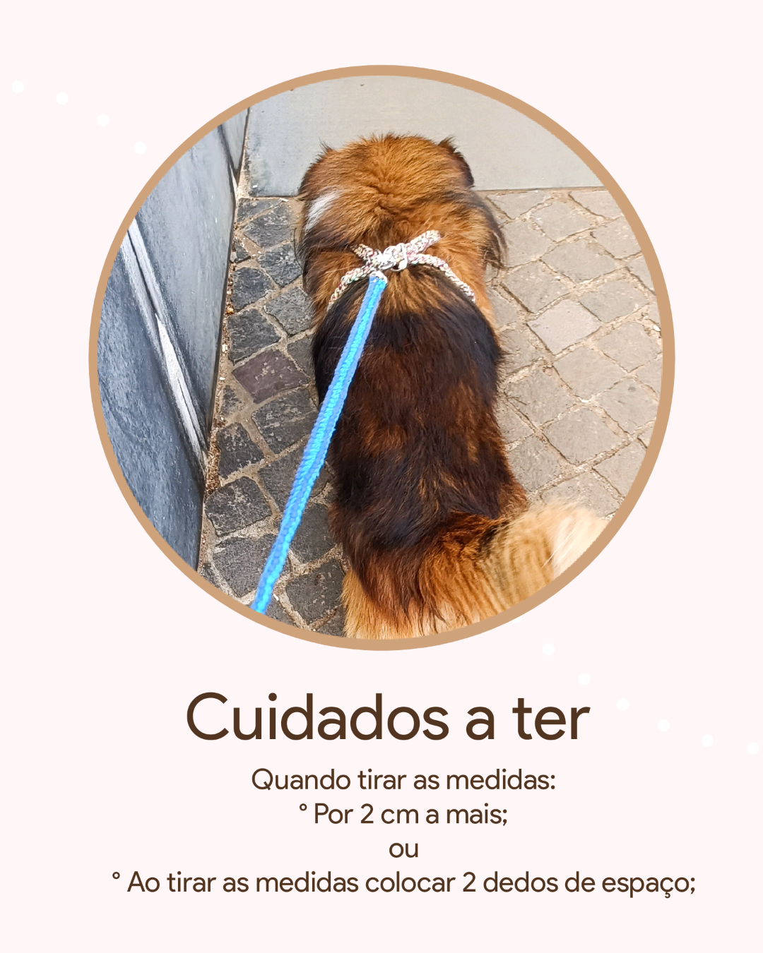 Colete para o seu amiguinho/a