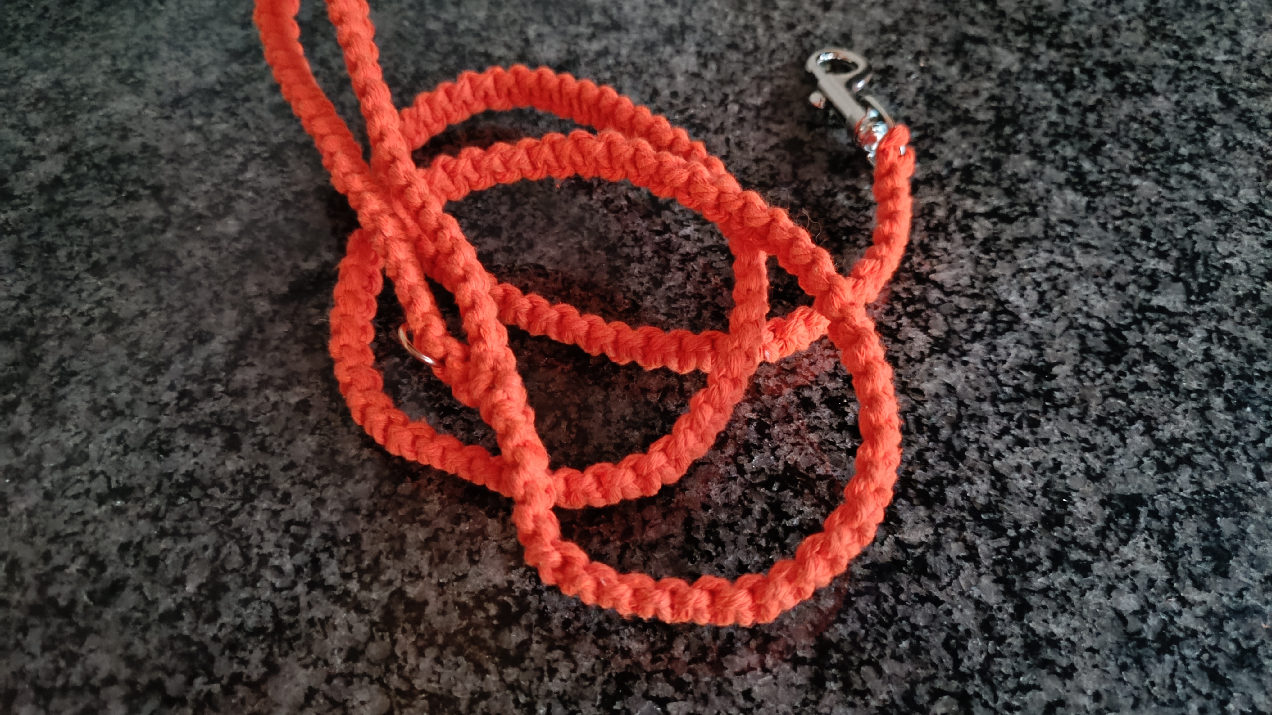 Trela para o seu animal