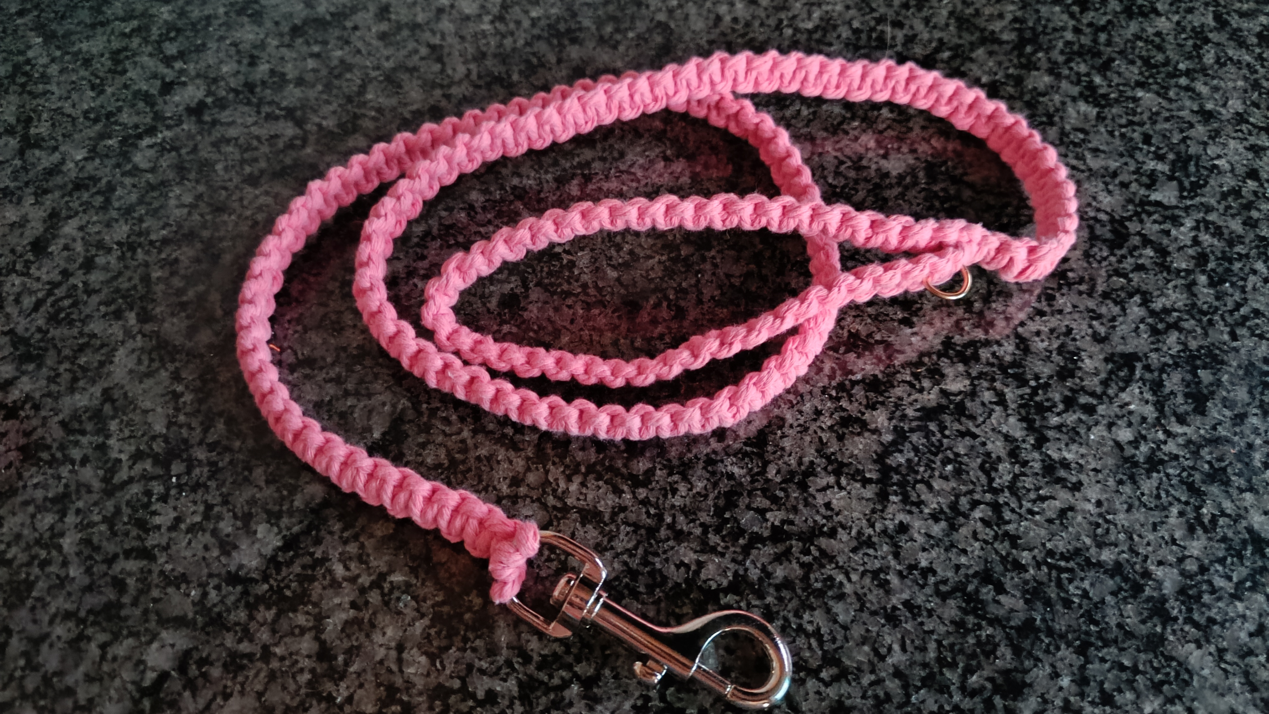 Trela para o seu animal