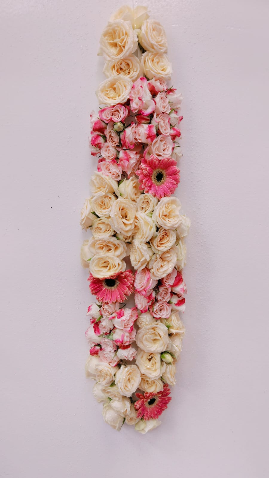 MIX SPRAY ROSE AND ZARBERA