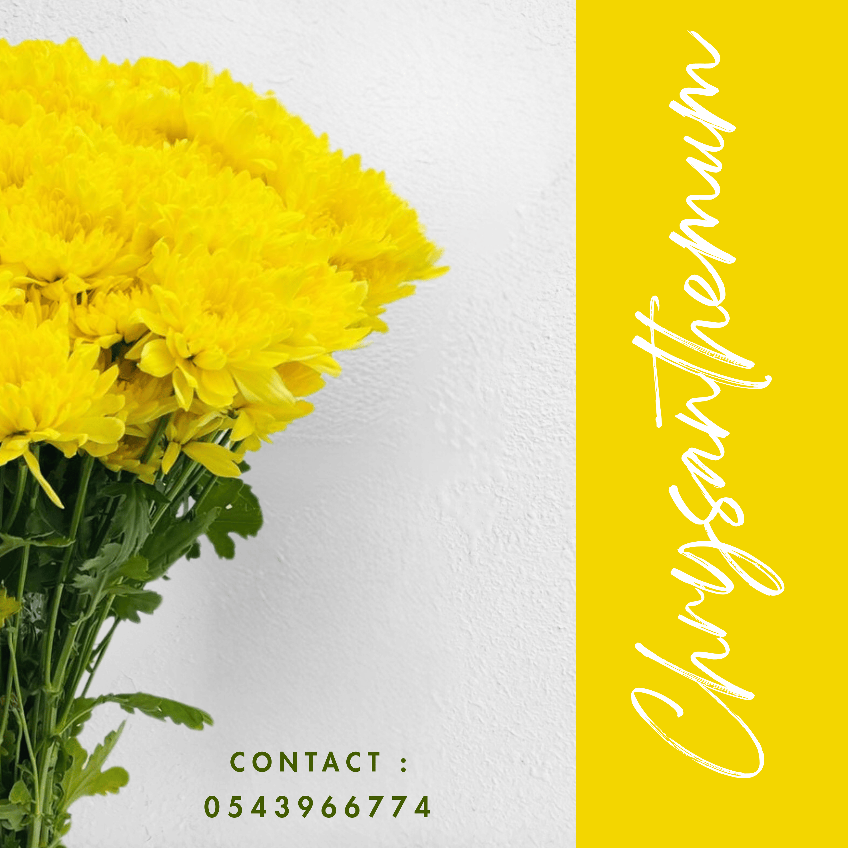 Yellow Chrysanthemum Bouquet