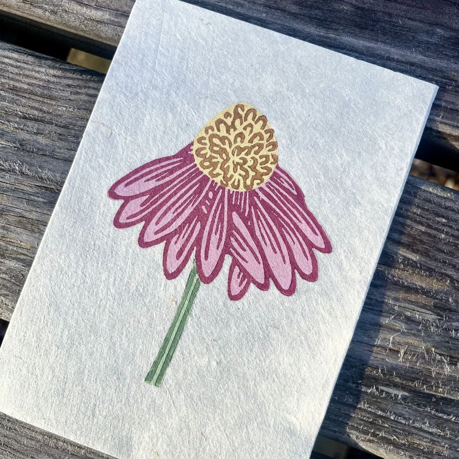 Echinacea Reduction Print - A6