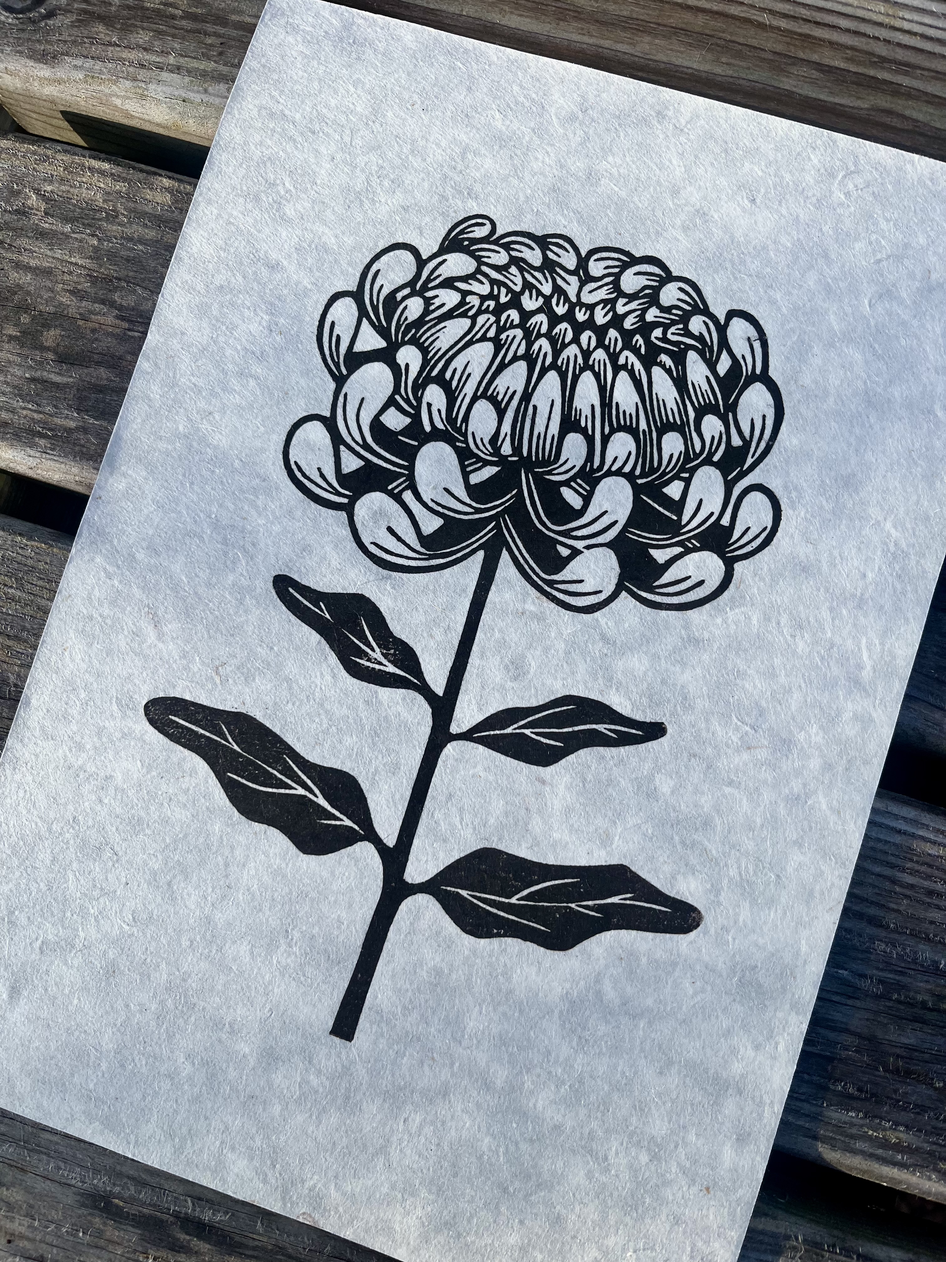 Chrysanthemum A4 Lino Print
