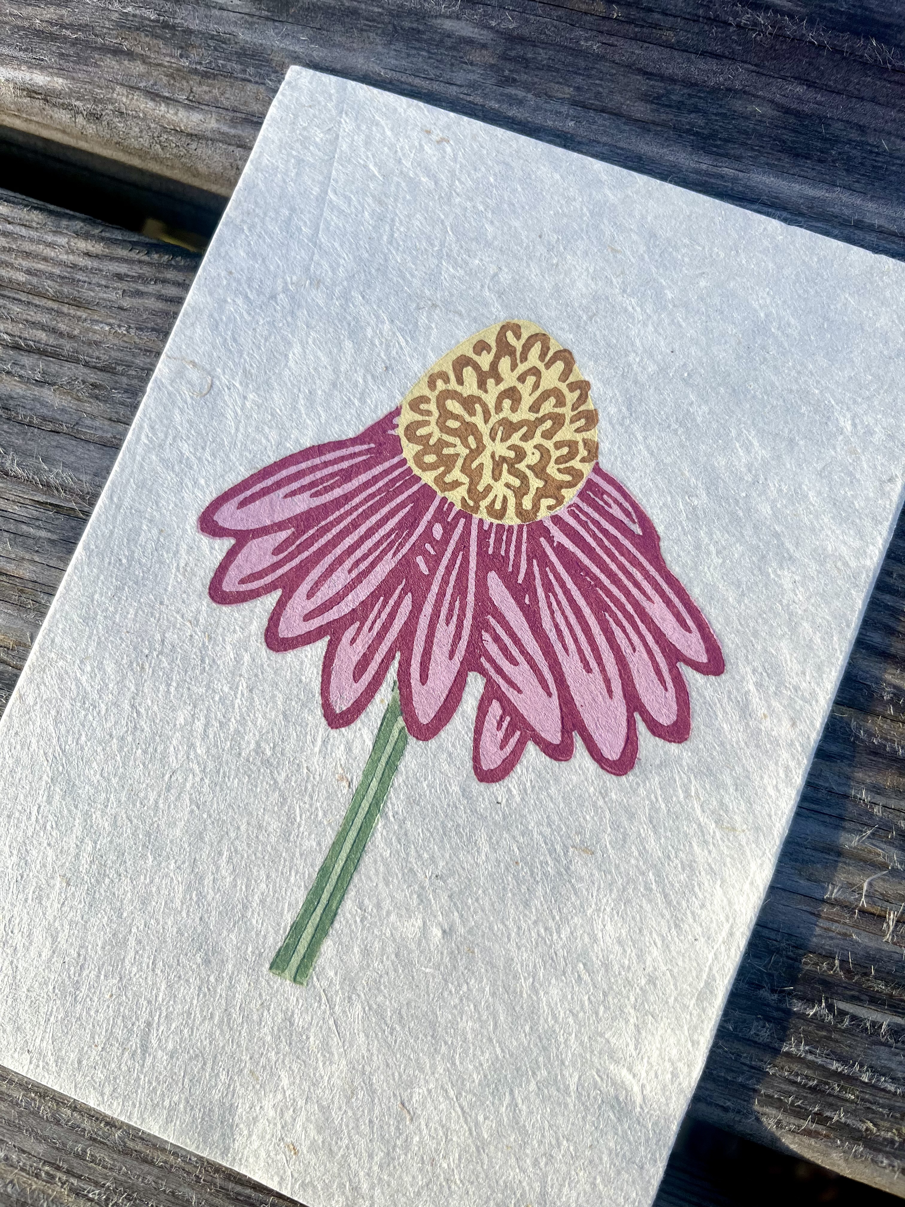 Echinacea A6 Reduction Print