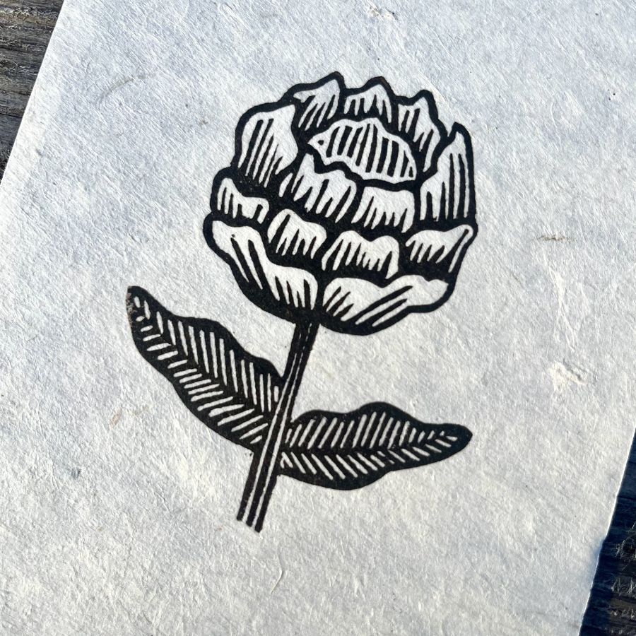 Small Peony - A6