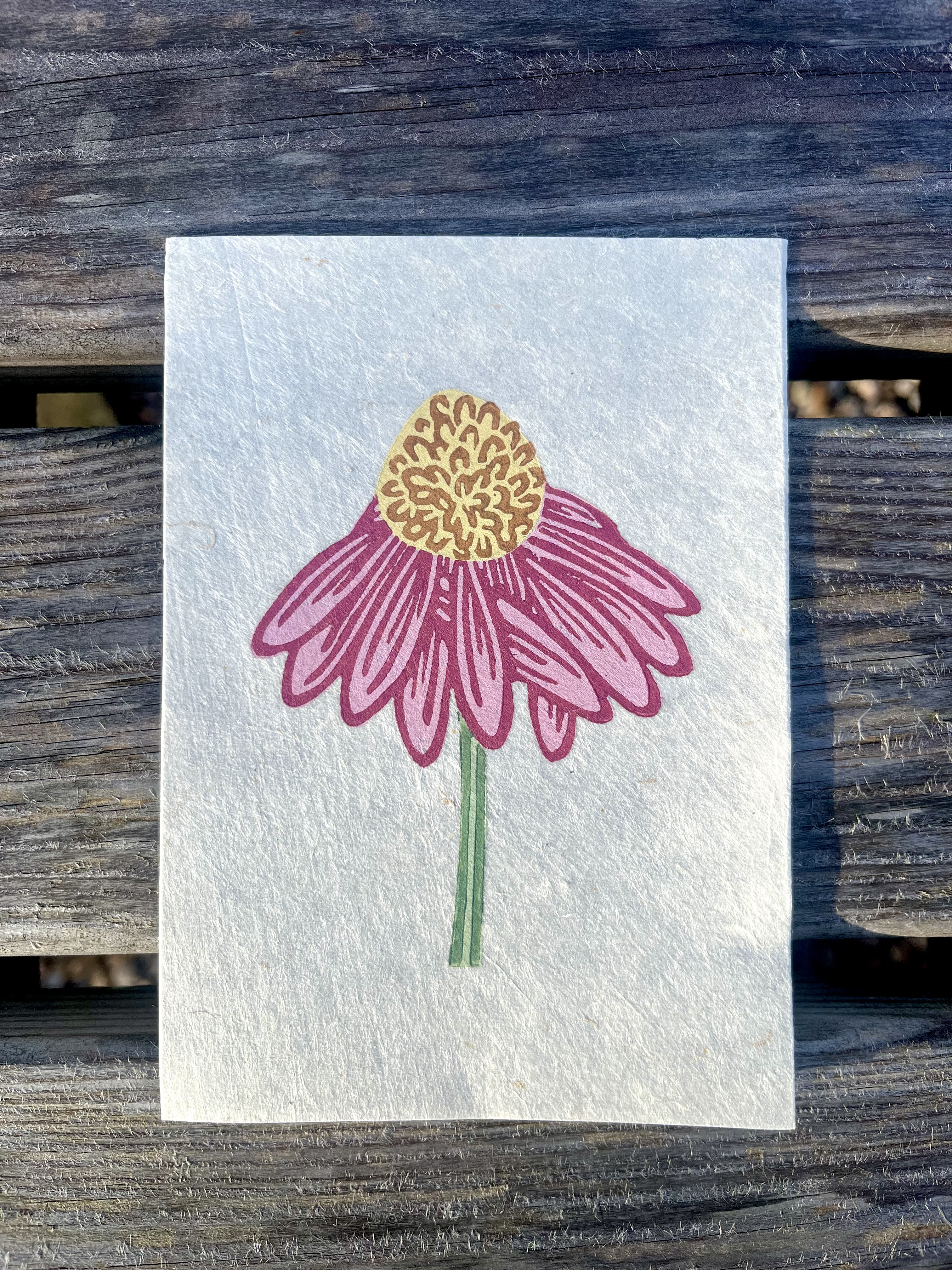 Echinacea Reduction Print - A6