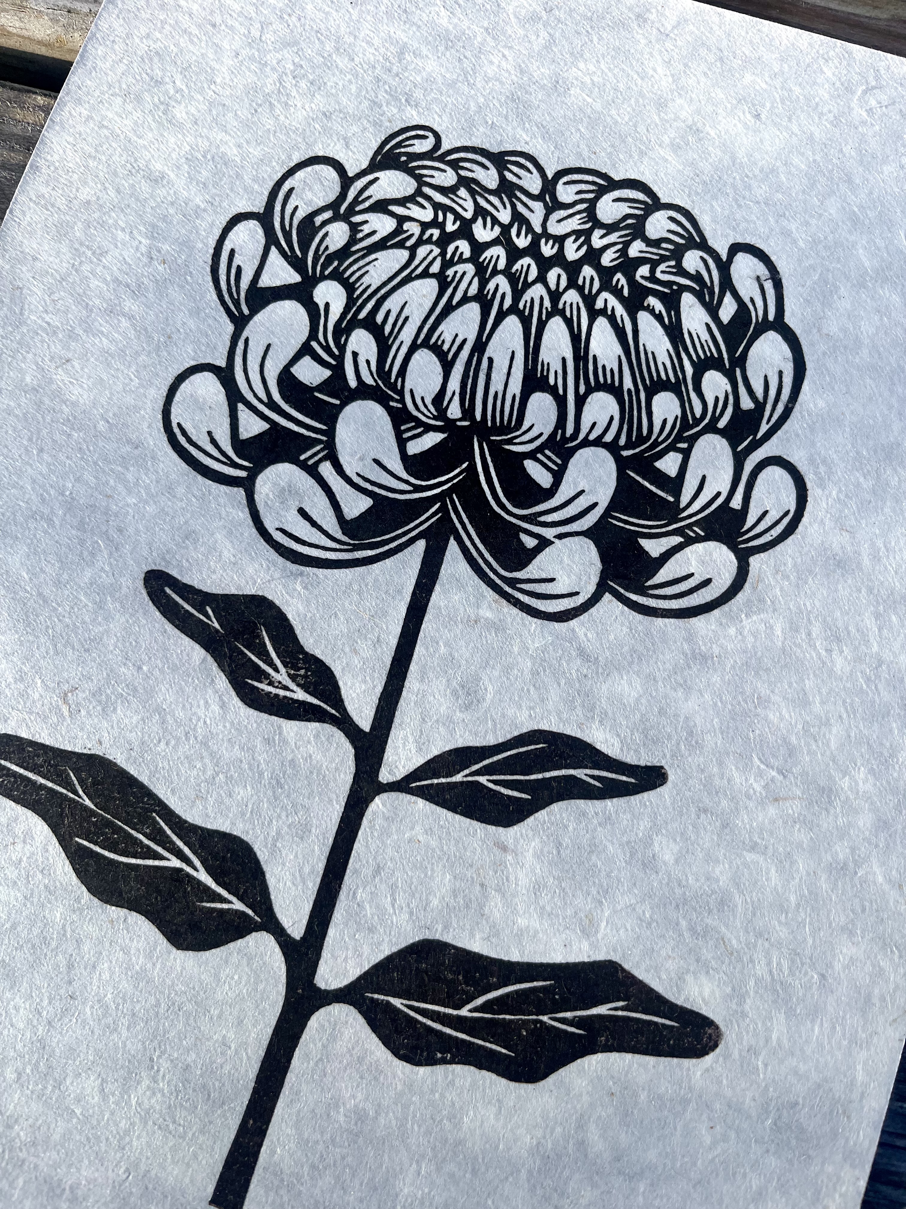 Chrysanthemum A4 Lino Print