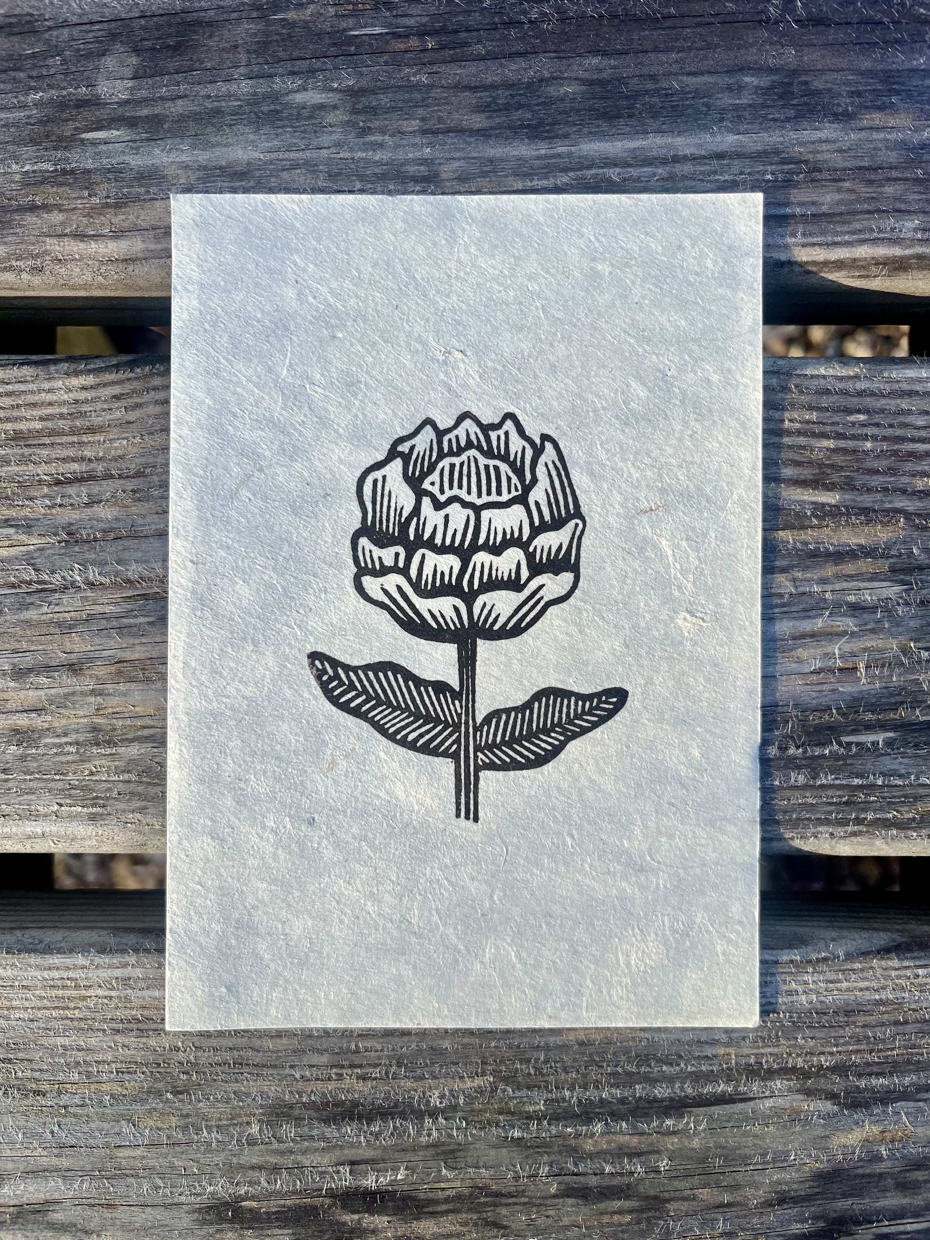 Small Peony - A6