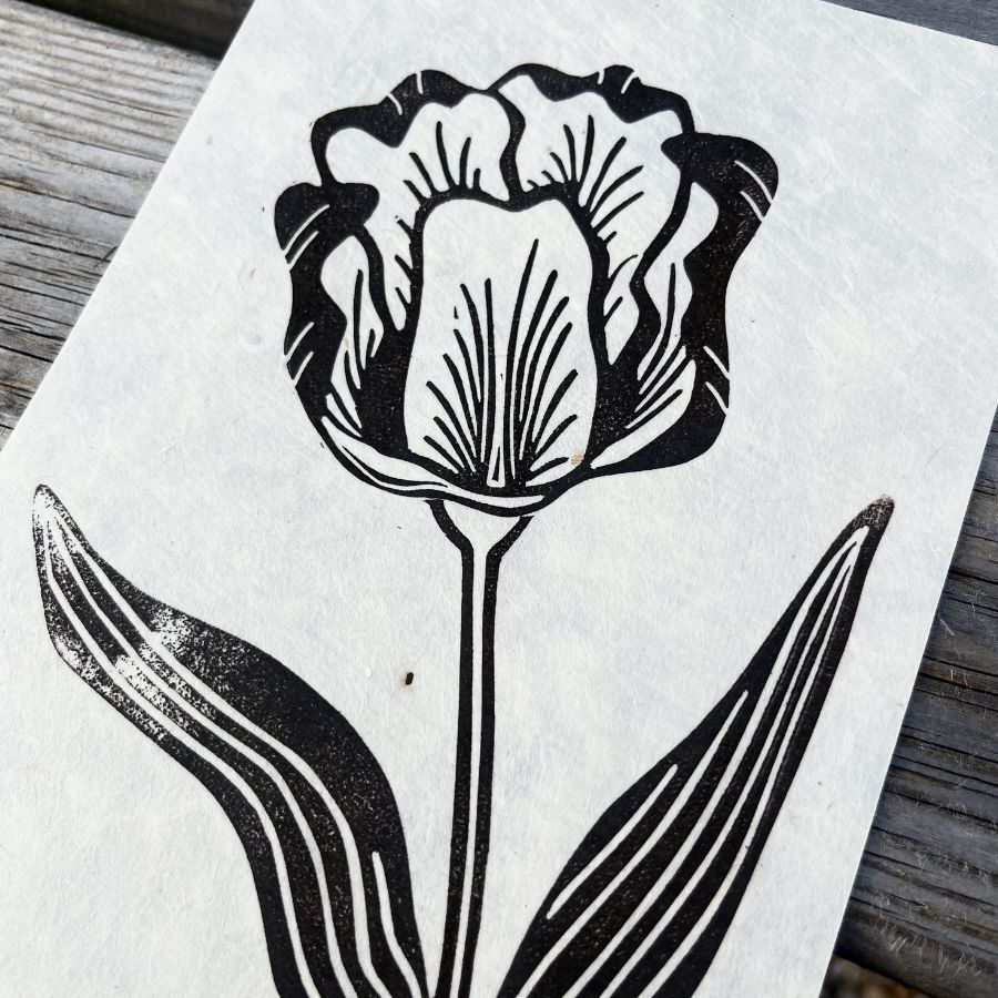 Tulip - 5"x7"