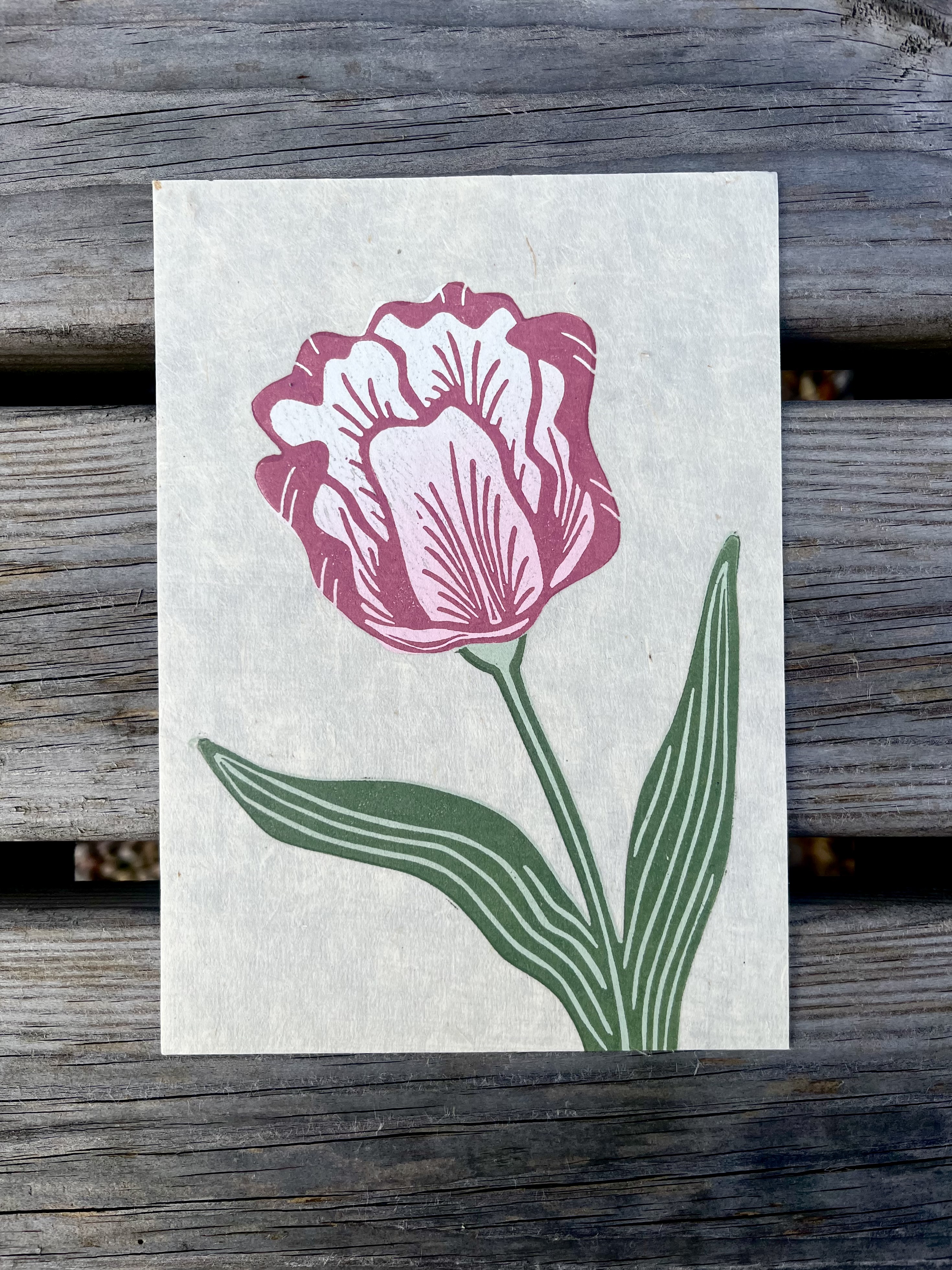 Tulip Reduction Print - 5"x7"