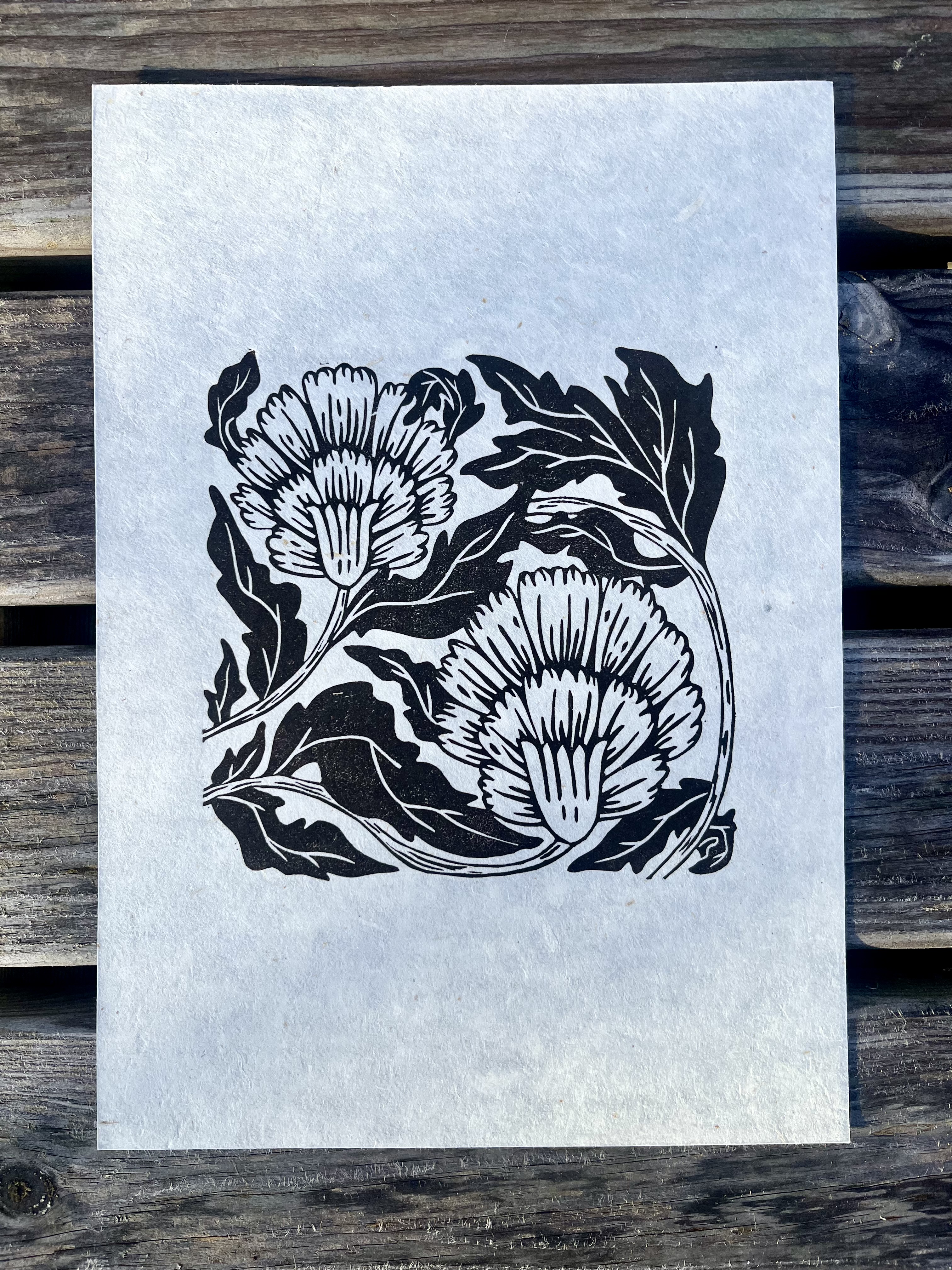 Blooming Carnation - A4