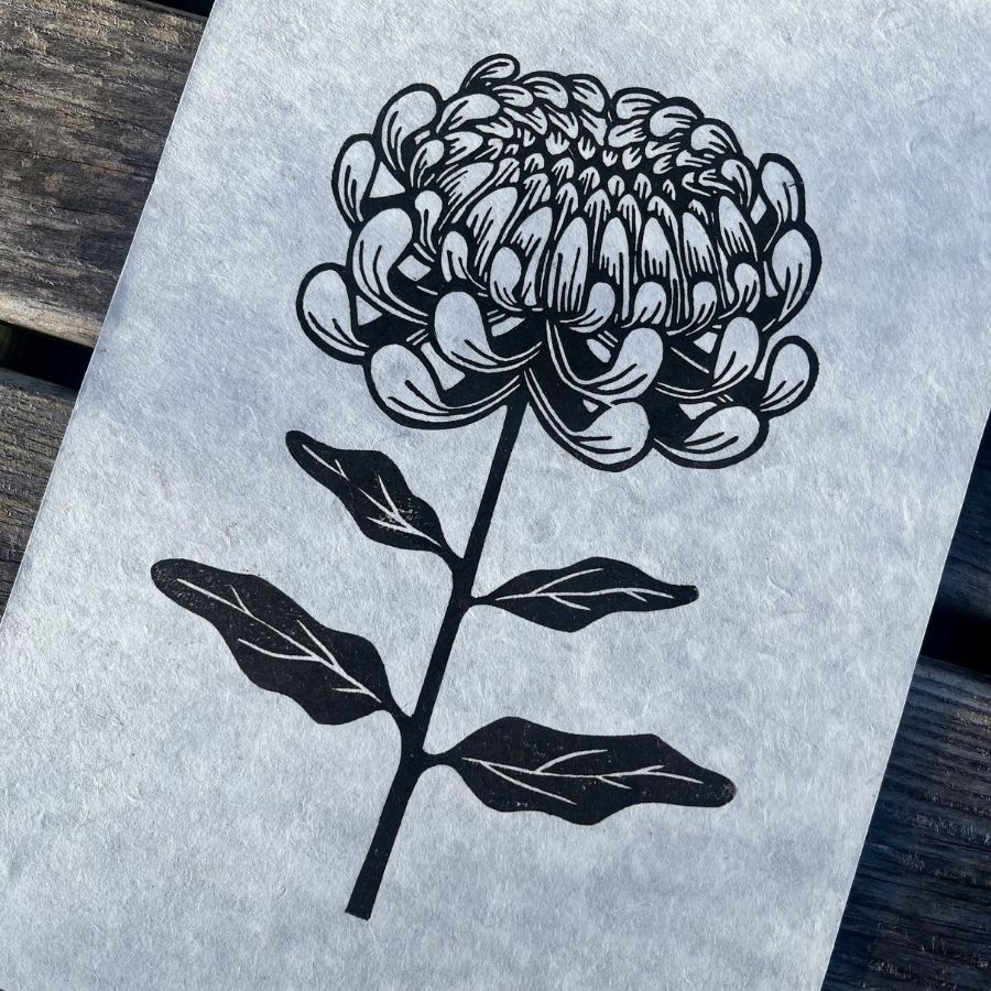 Chrysanthemum - A4