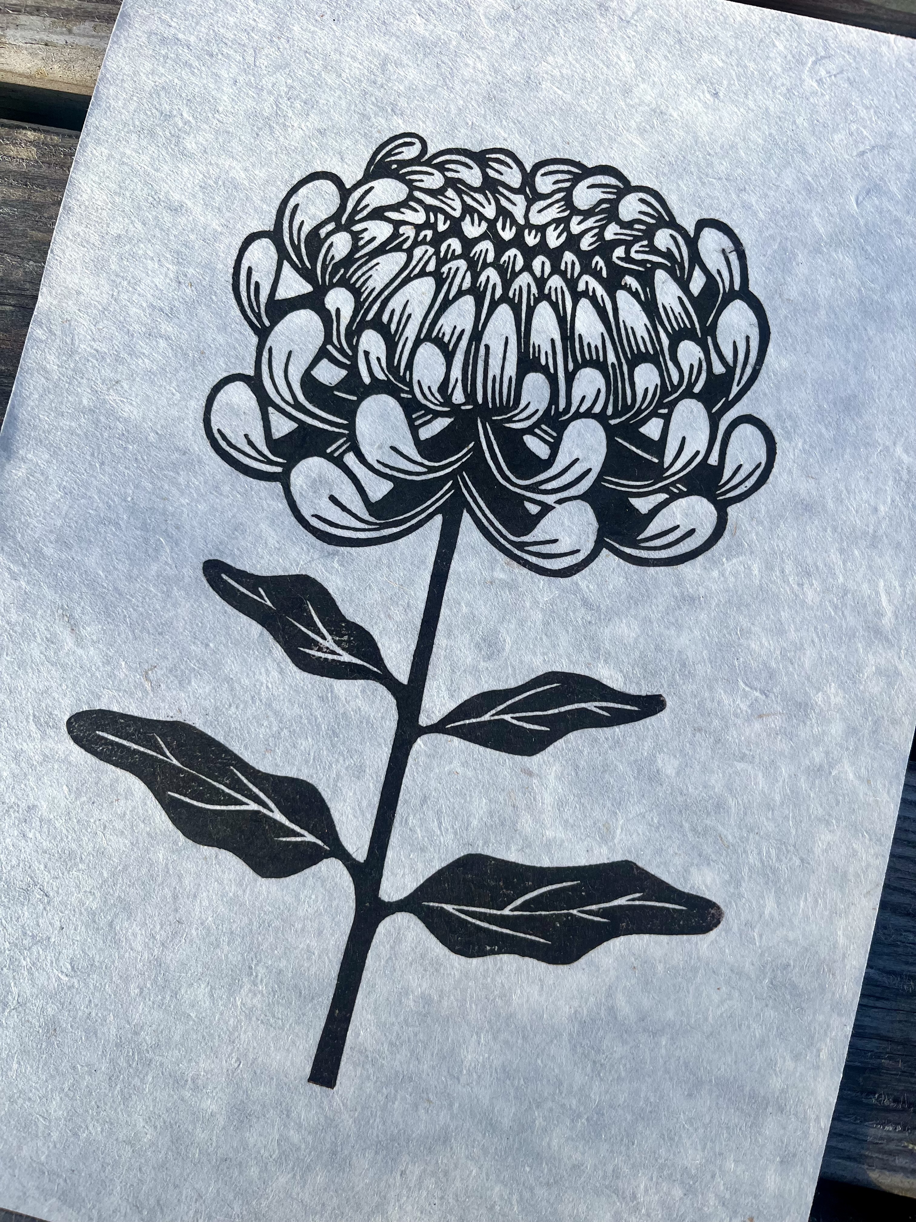 Chrysanthemum A4 Lino Print