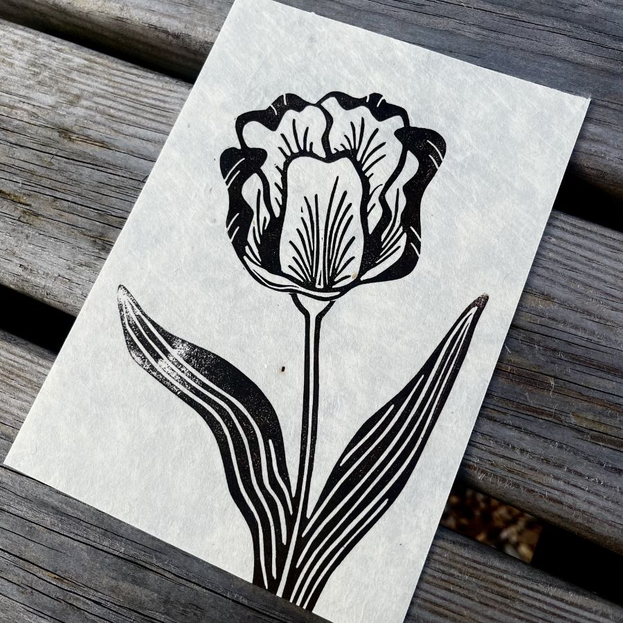 Tulip - 5"x7"