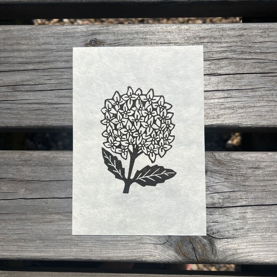 Hydrangea - A6 Lino Print