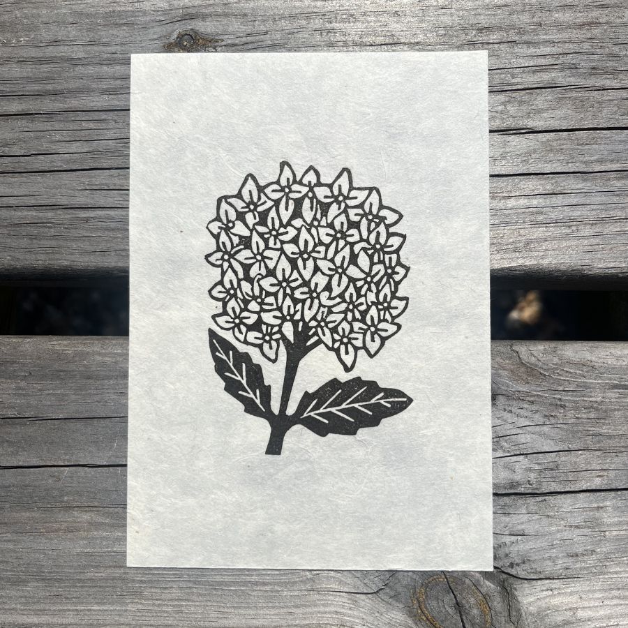 Hydrangea - A6 Lino Print