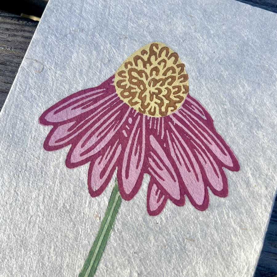 Echinacea Reduction Print - A6