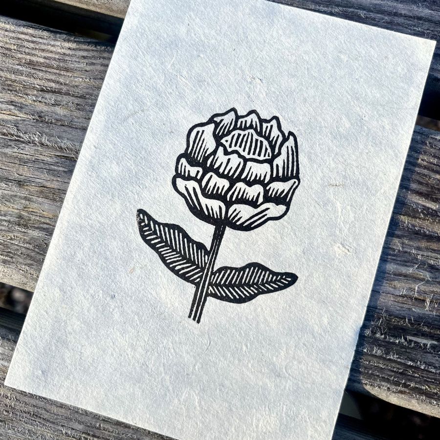 Small Peony - A6
