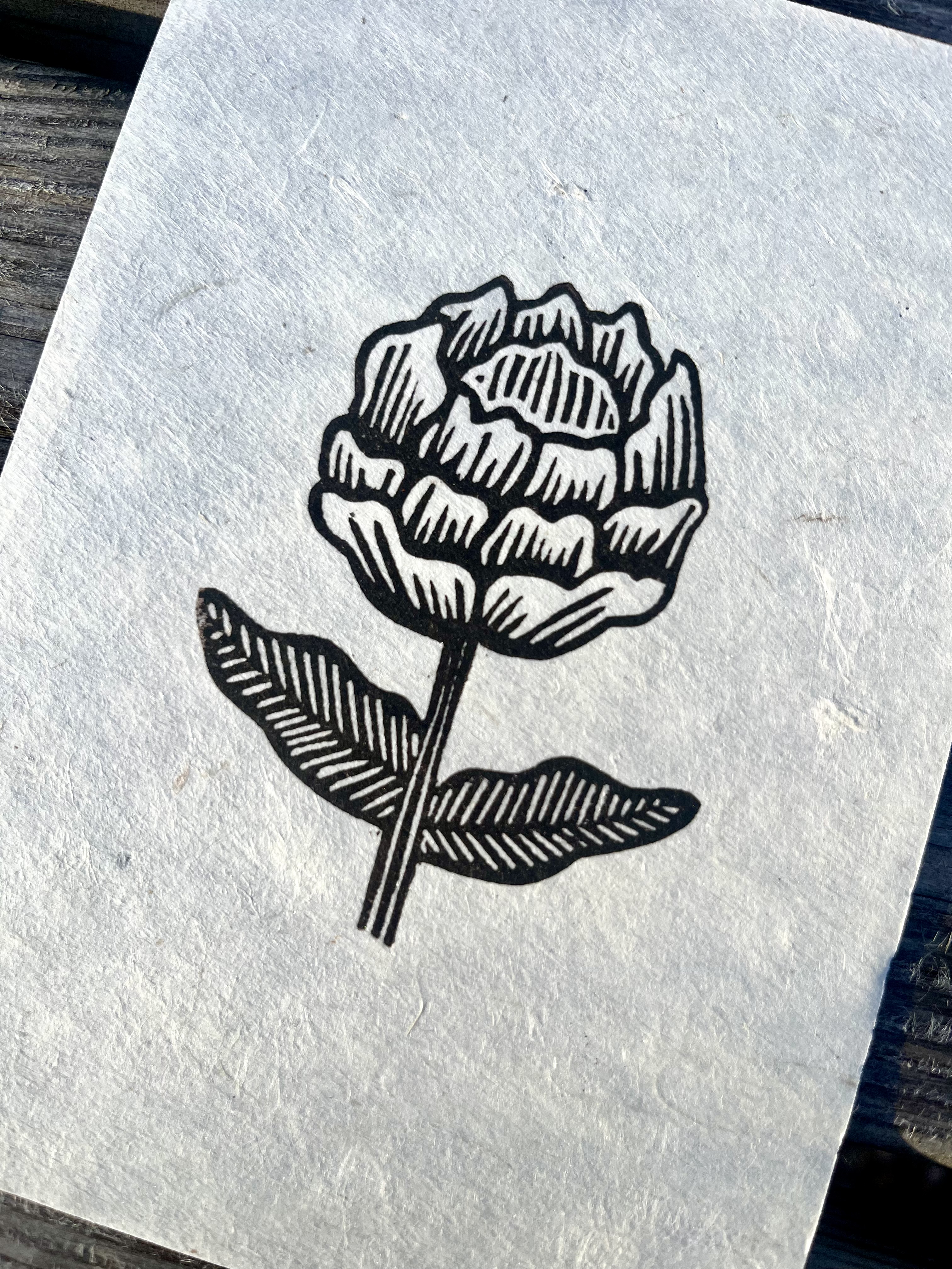 Small Peony A6
