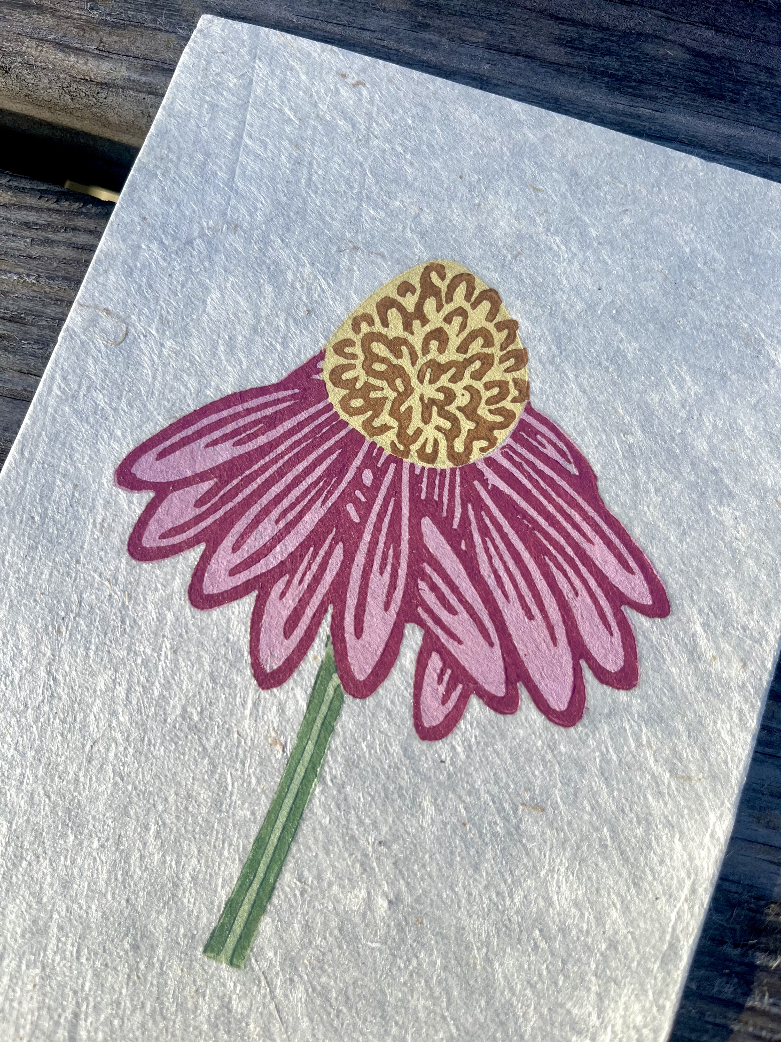 Echinacea A6 Reduction Print