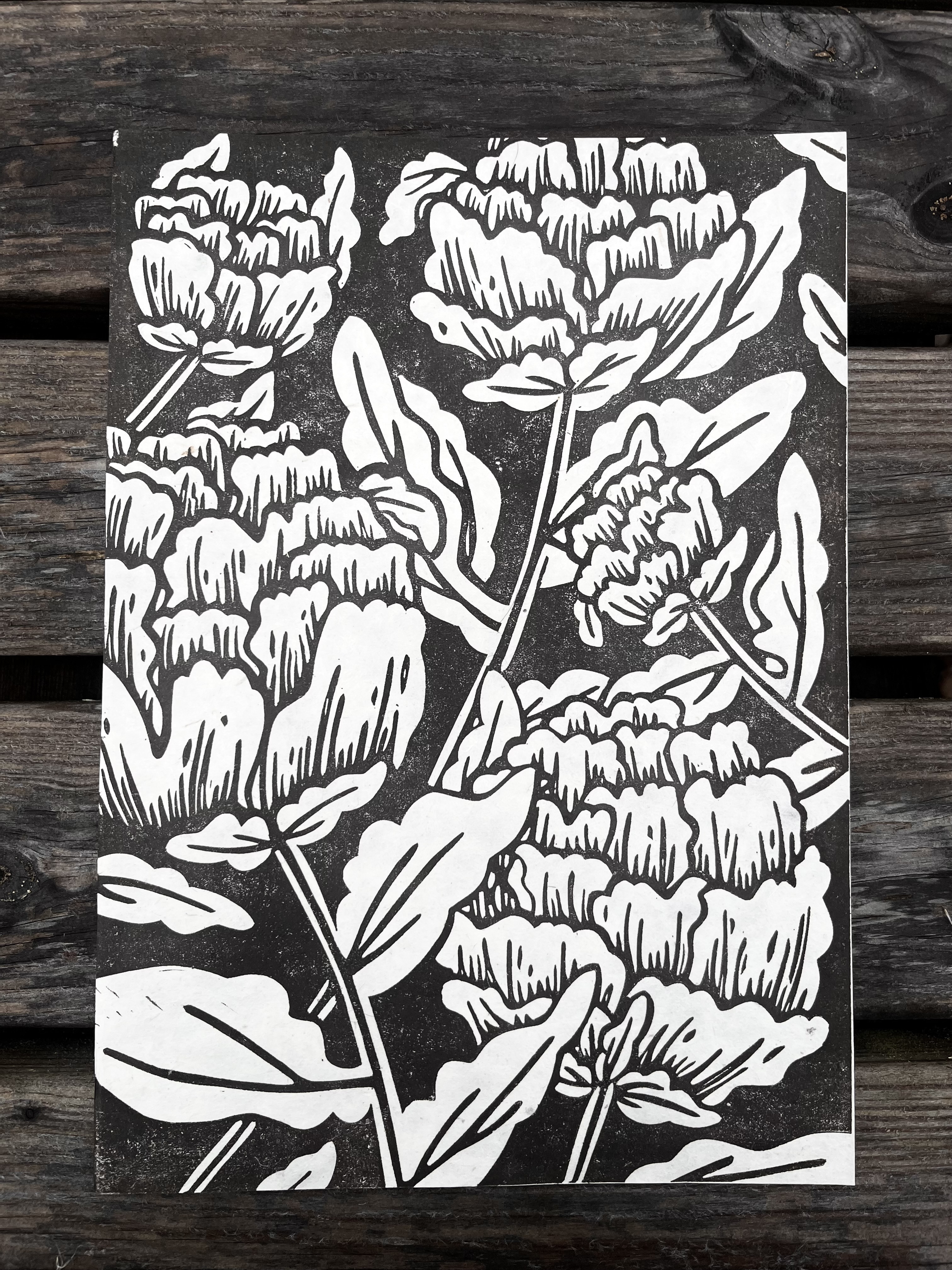 Peony A4 Lino Print