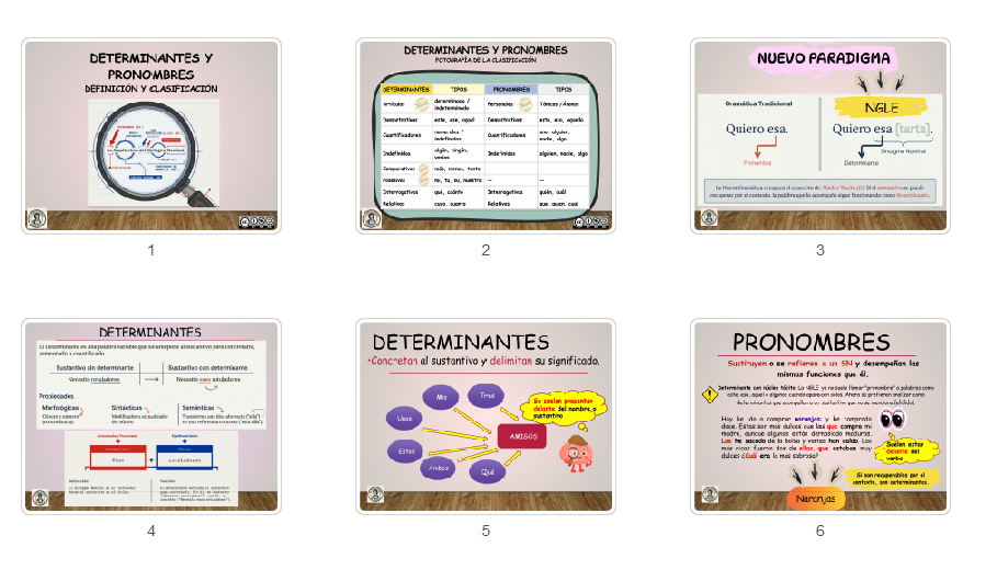 Presentación e infografía de Determinantes y Pronombres NGLE