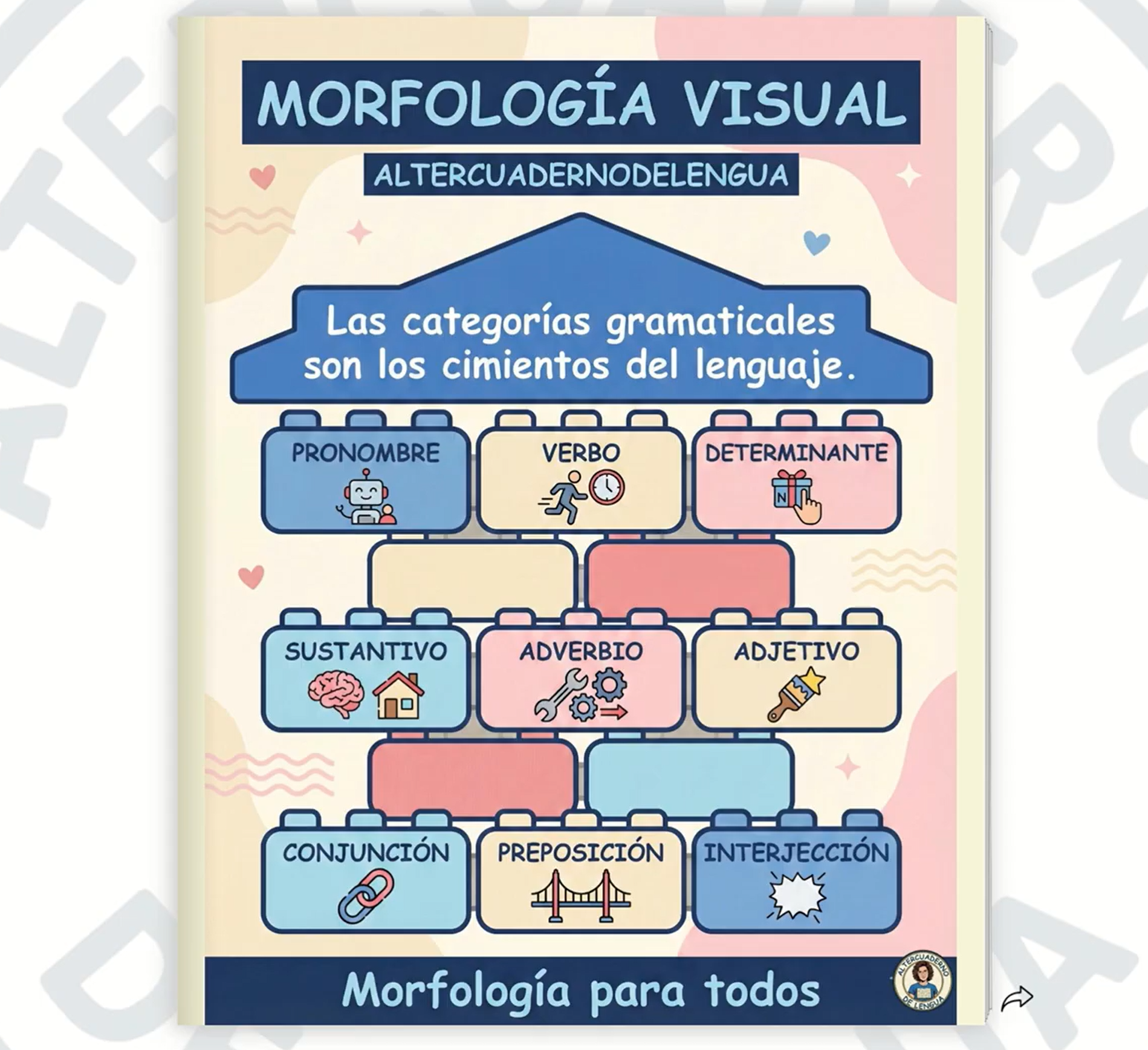 Pack Infografías morfología visual
