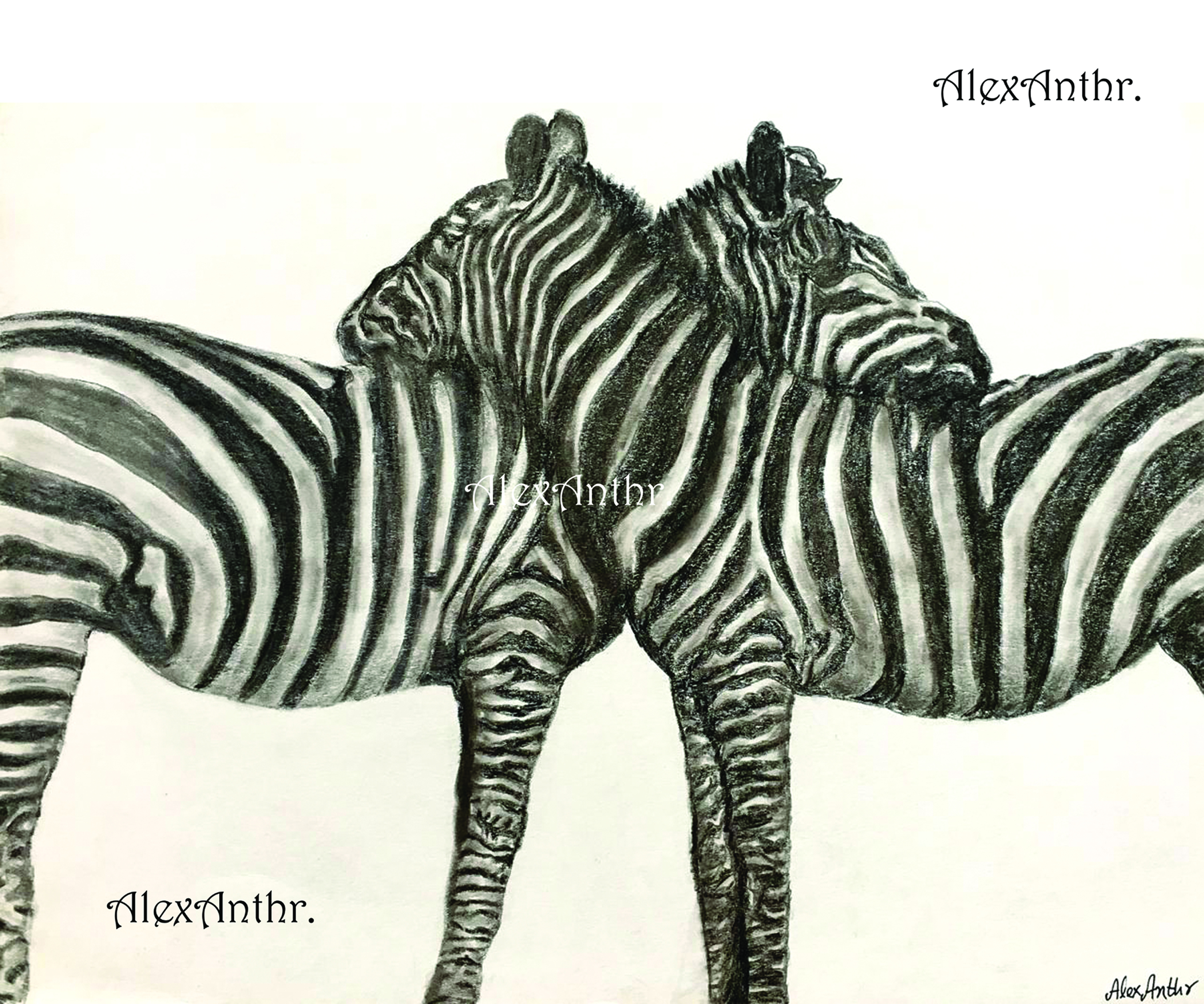 Symphony in Black and White (36 x 26 cms)