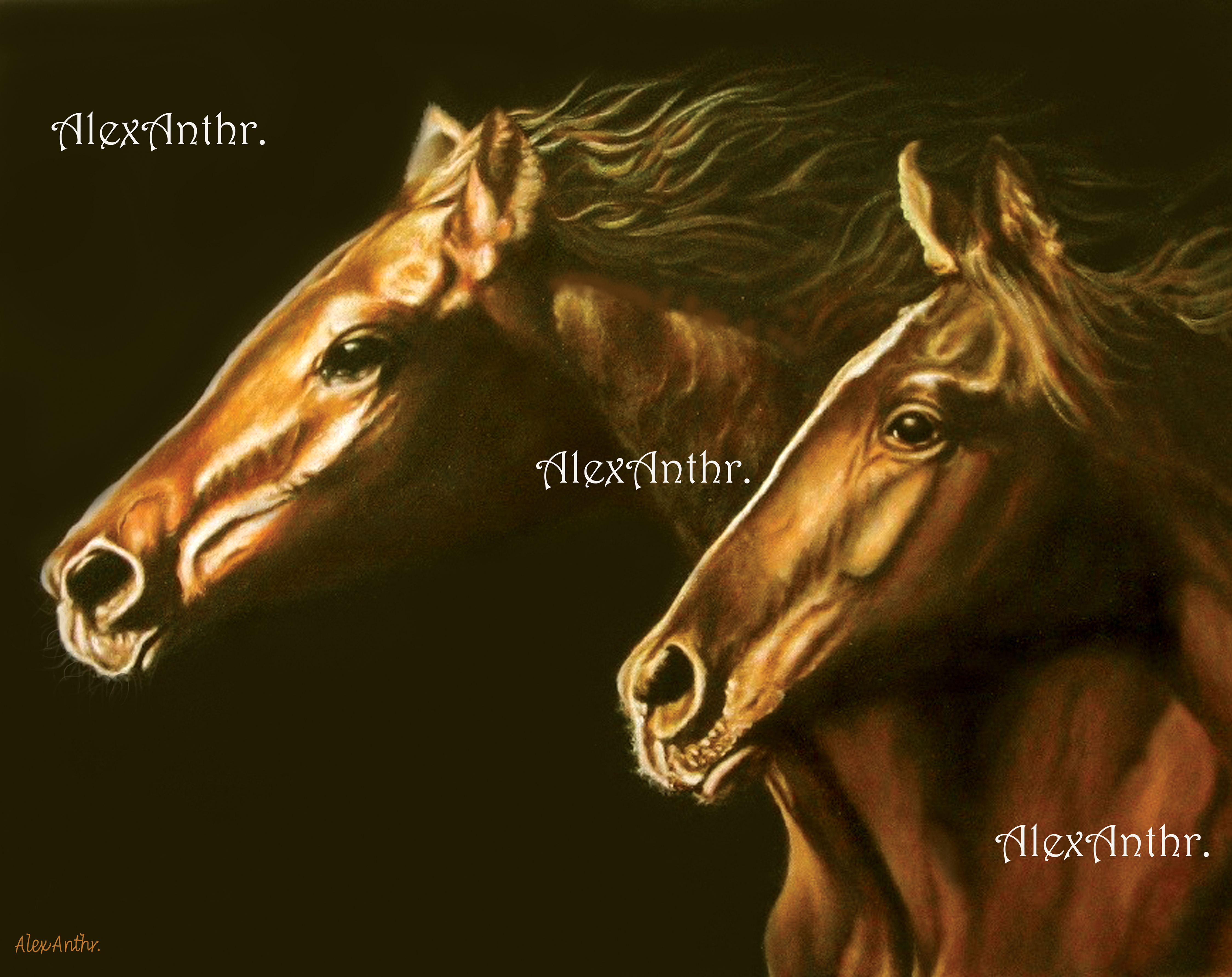 Twin Spirits (64 x 69 cms)