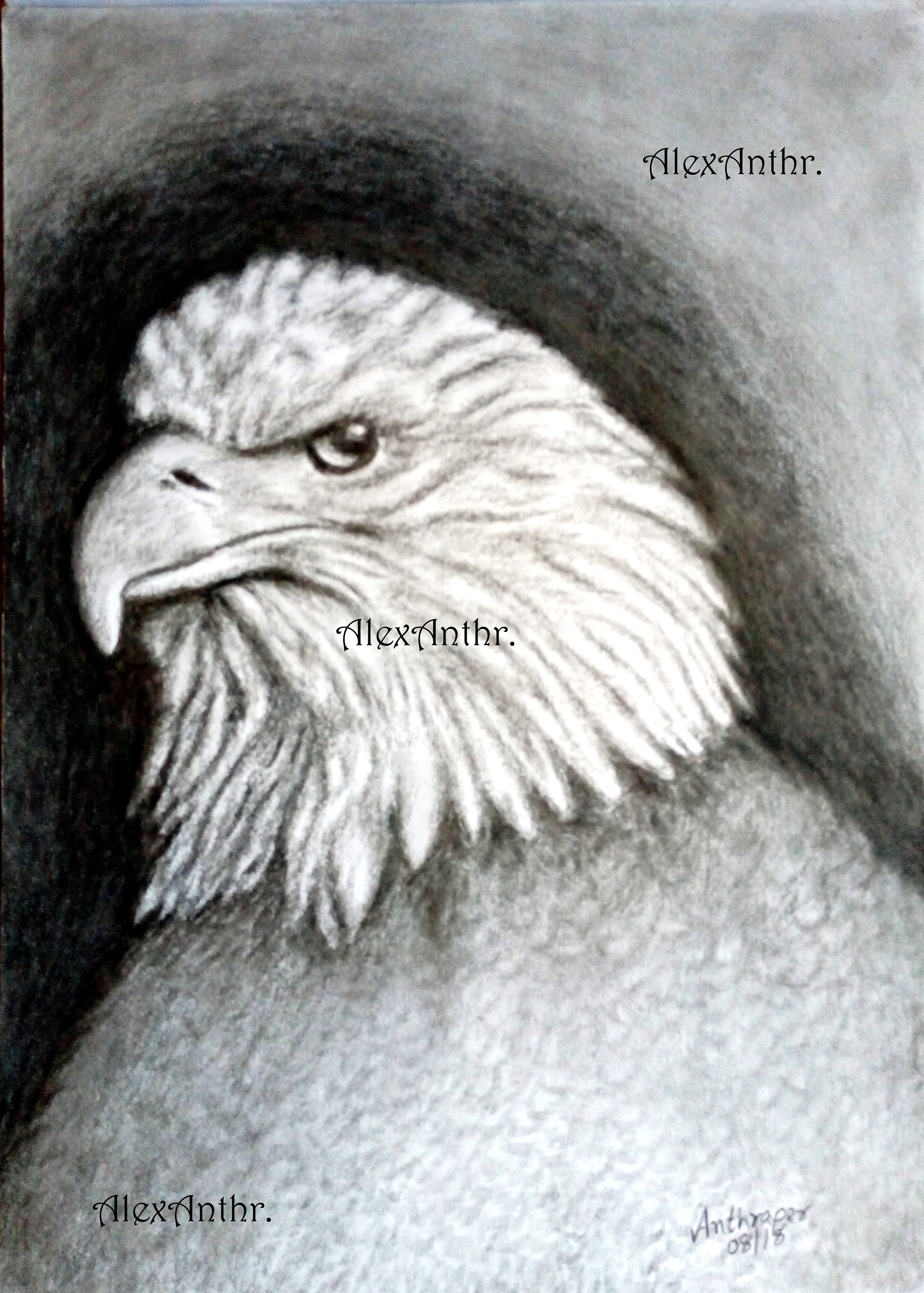 Guardian of the Skies (30 x 41 cms)