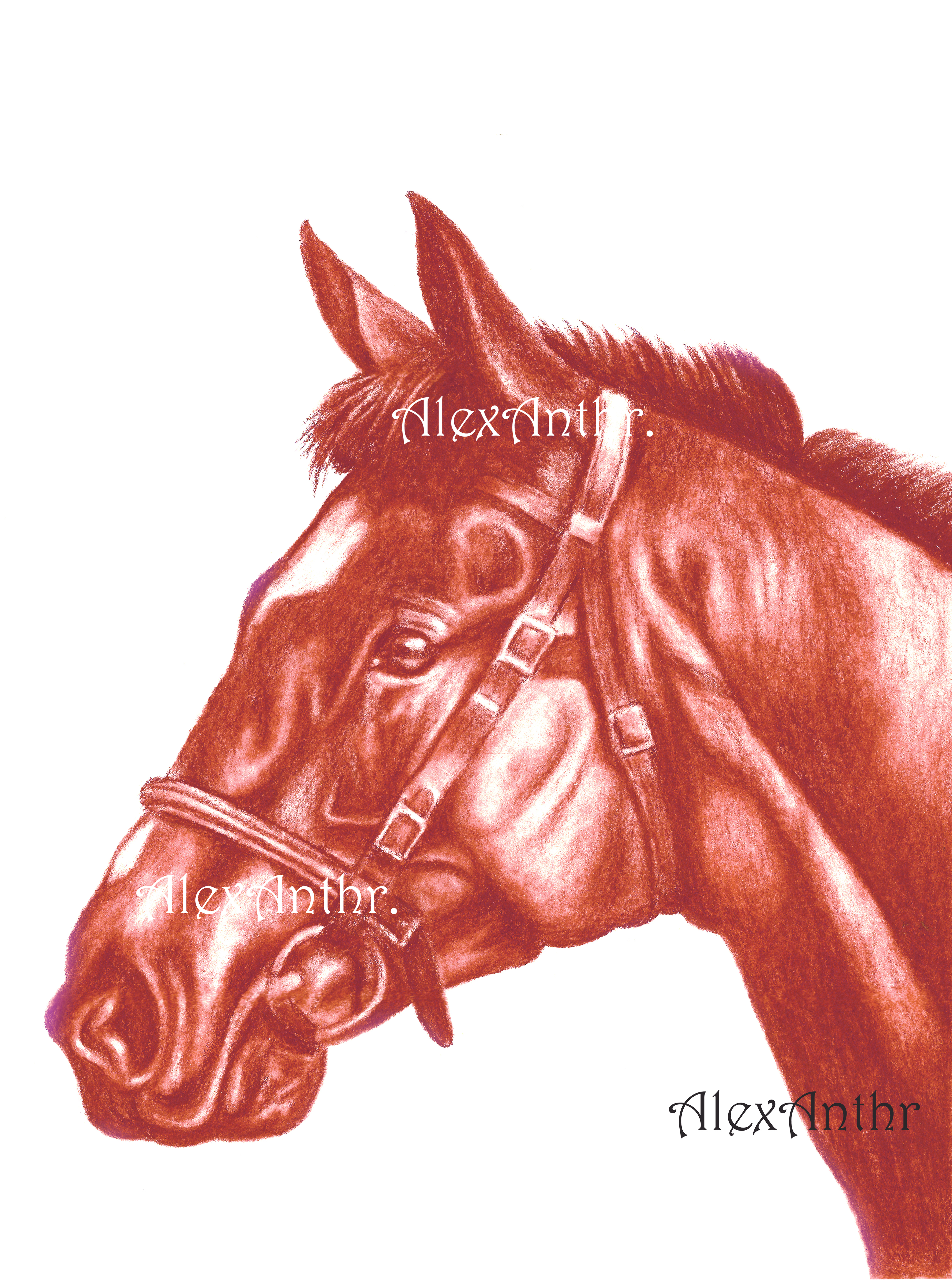 Majestic in Brown (28 x 38 cms)