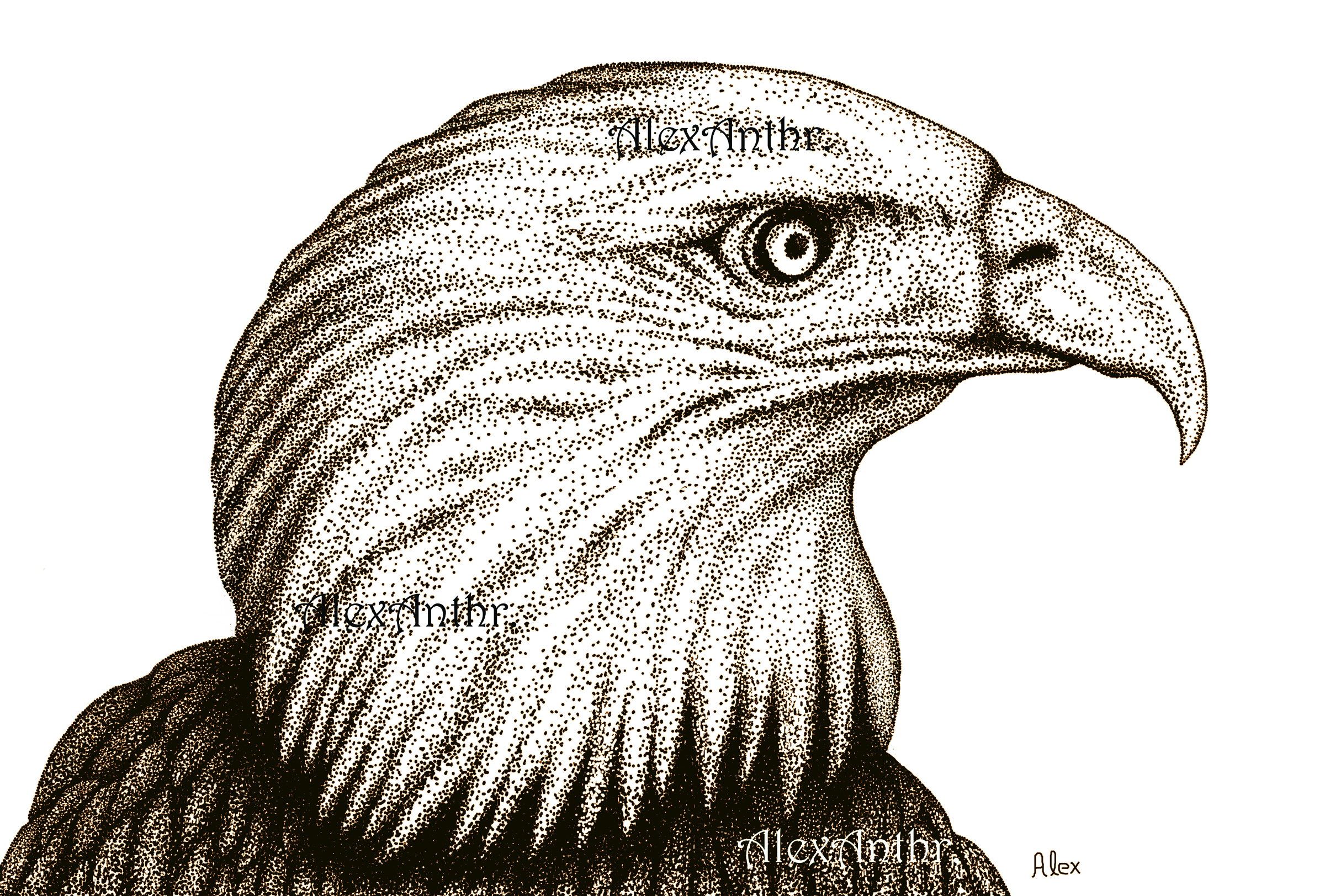 Guardian’s Gaze (Print)