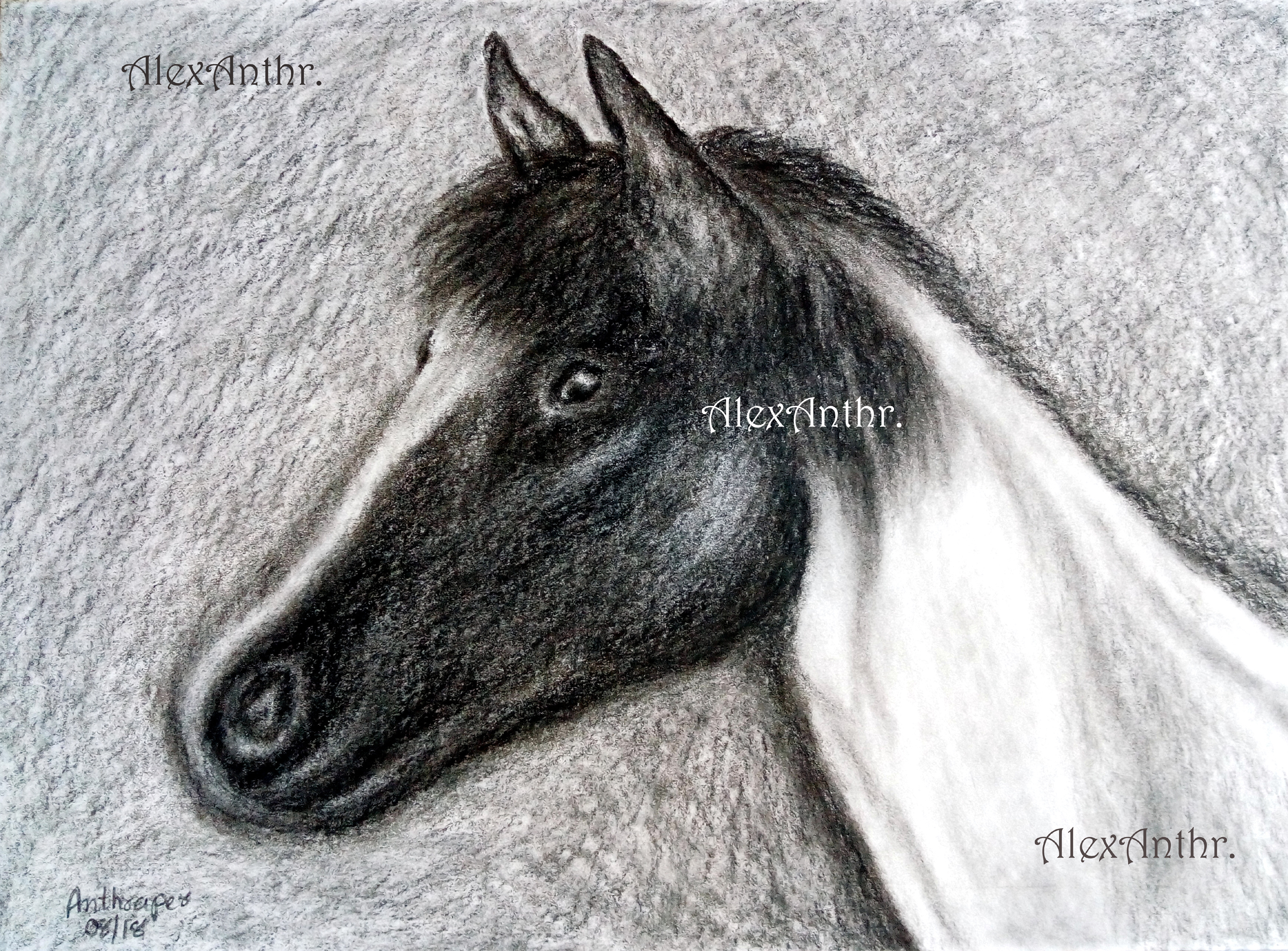 The Gentle Steed (38 x 28 cms)