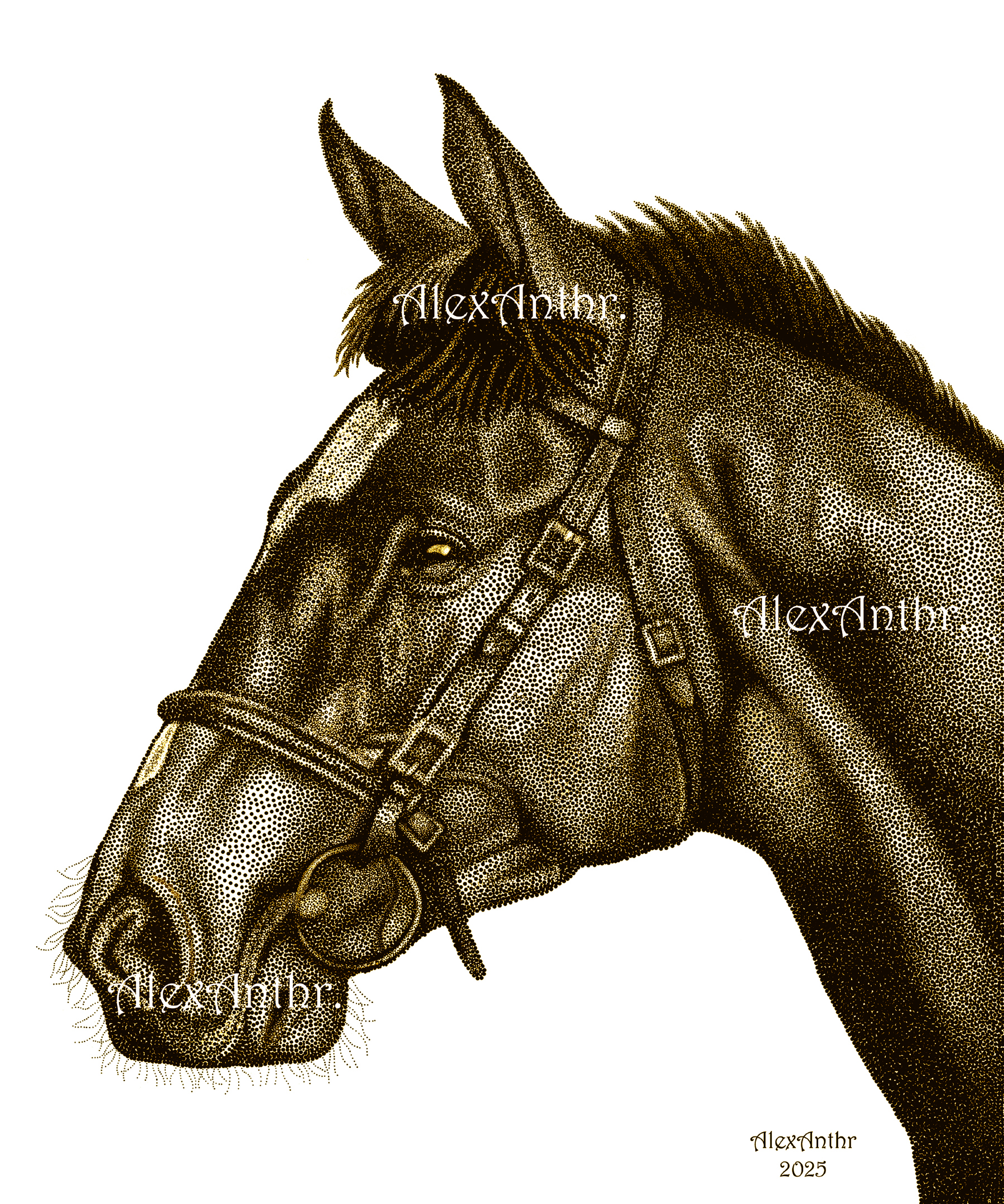 The Majestic Gaze (Print)