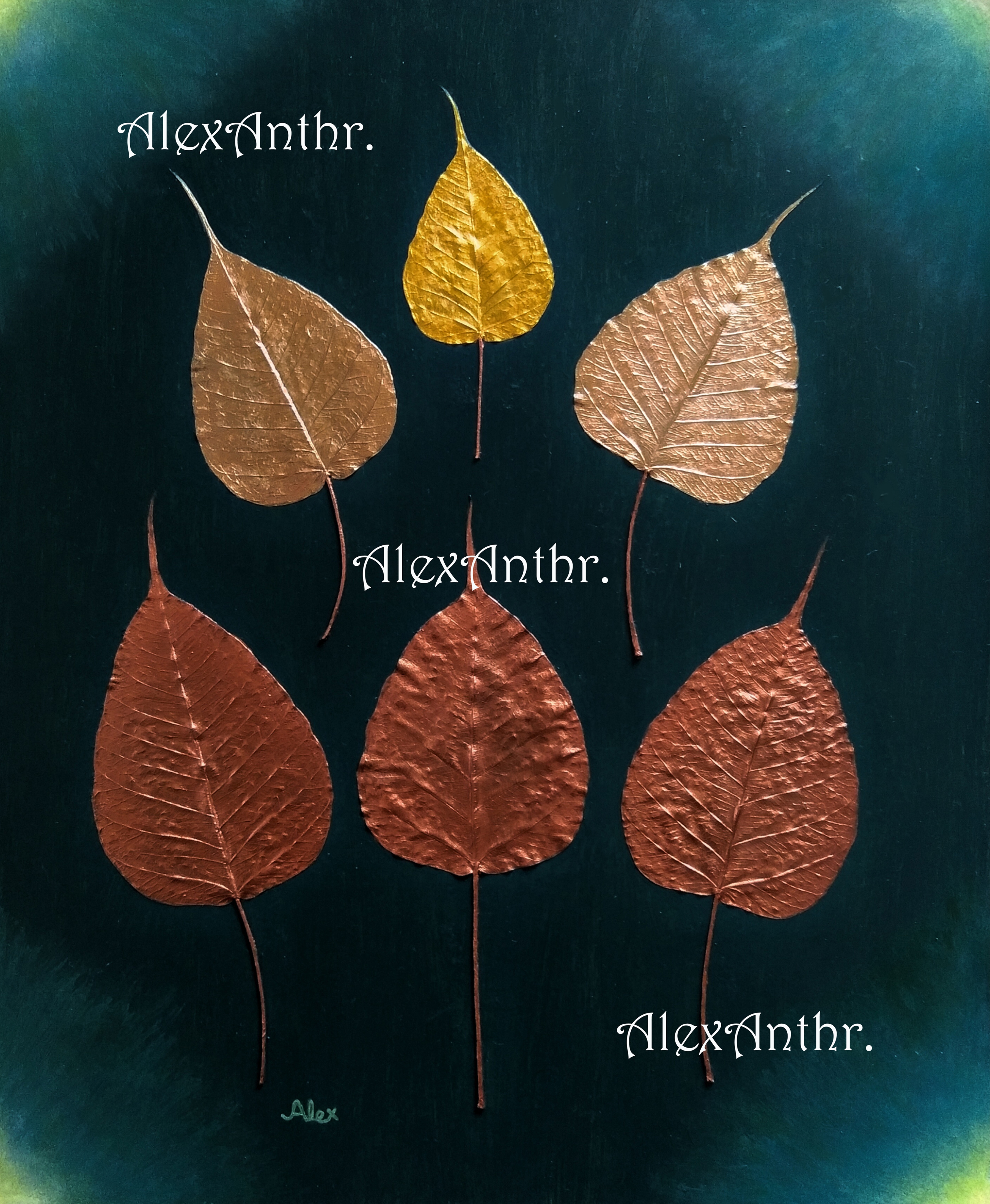 Whispers of the Bodhi (30 x 37 cms)