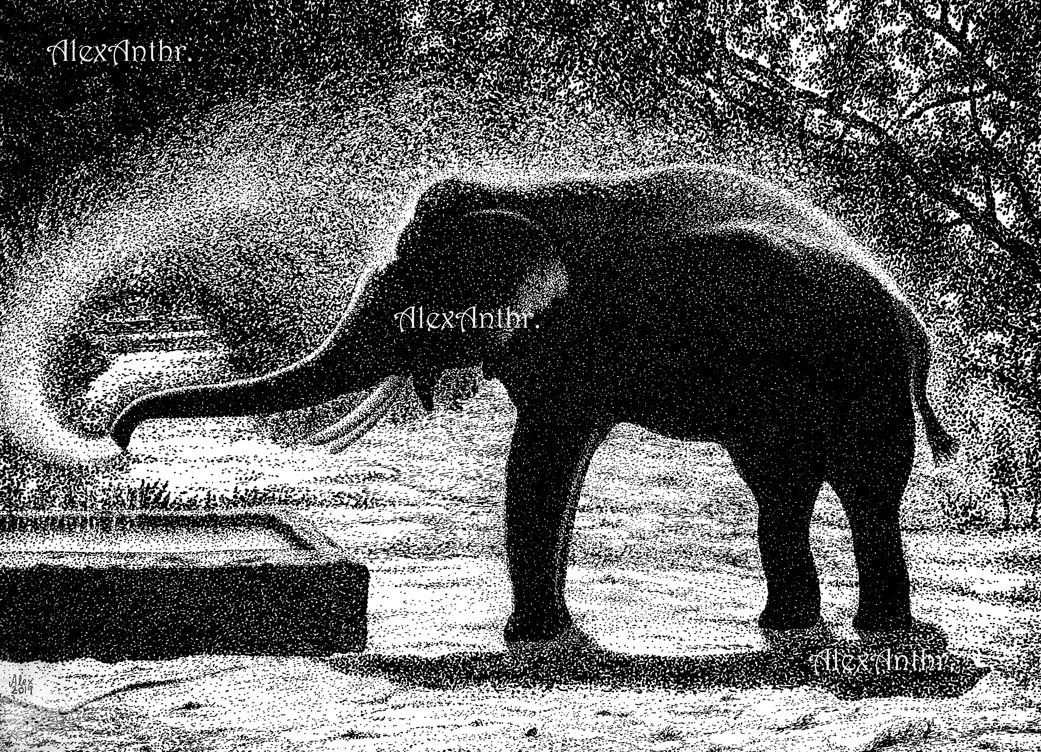 Bathing Bliss (42 x 30 cms)