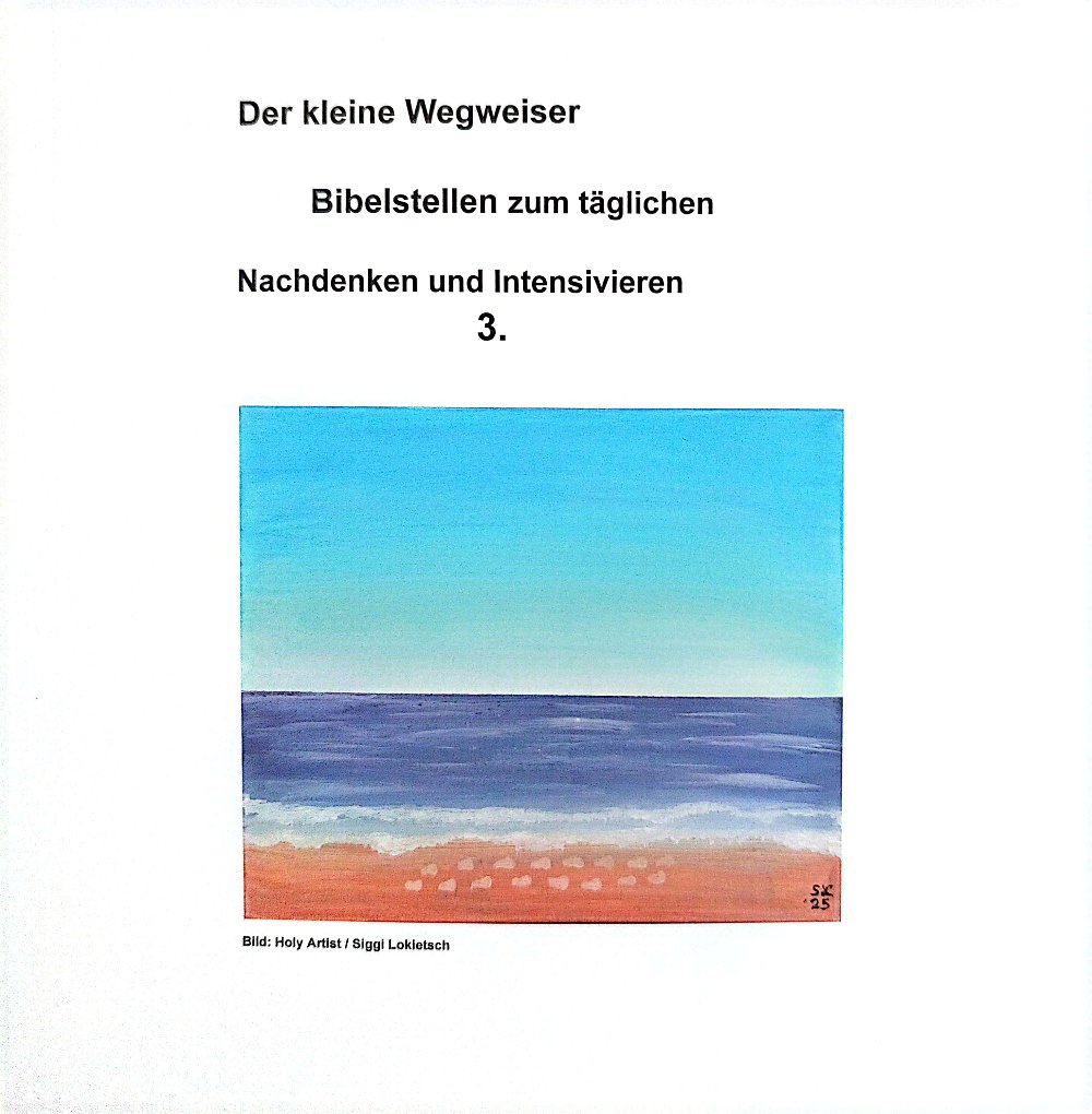 Der kleine Wegweiser Bibelstellen zum täglichen Nachdenken und Intensivieren 3./ Buch