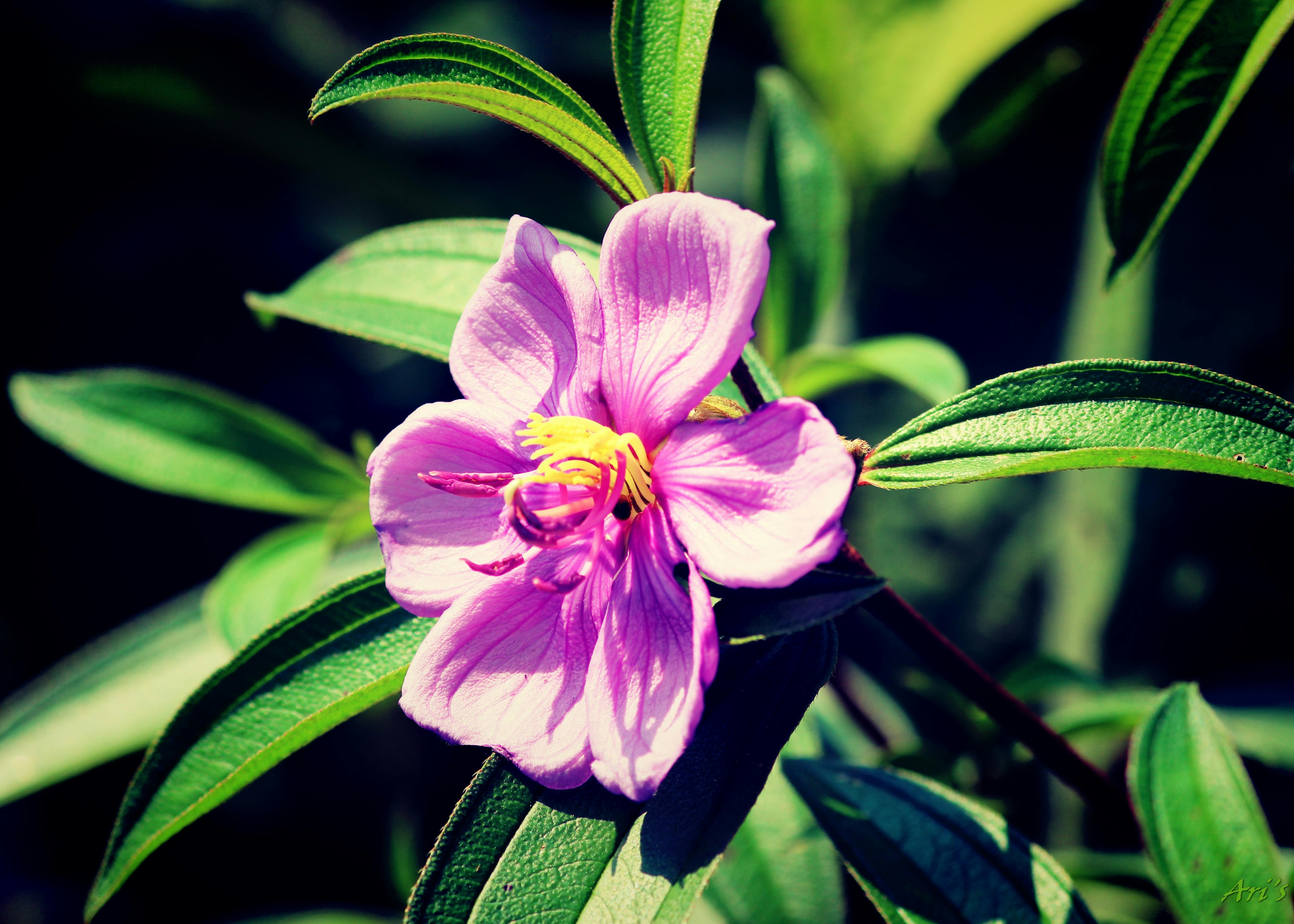 Business Turnaround Strategy